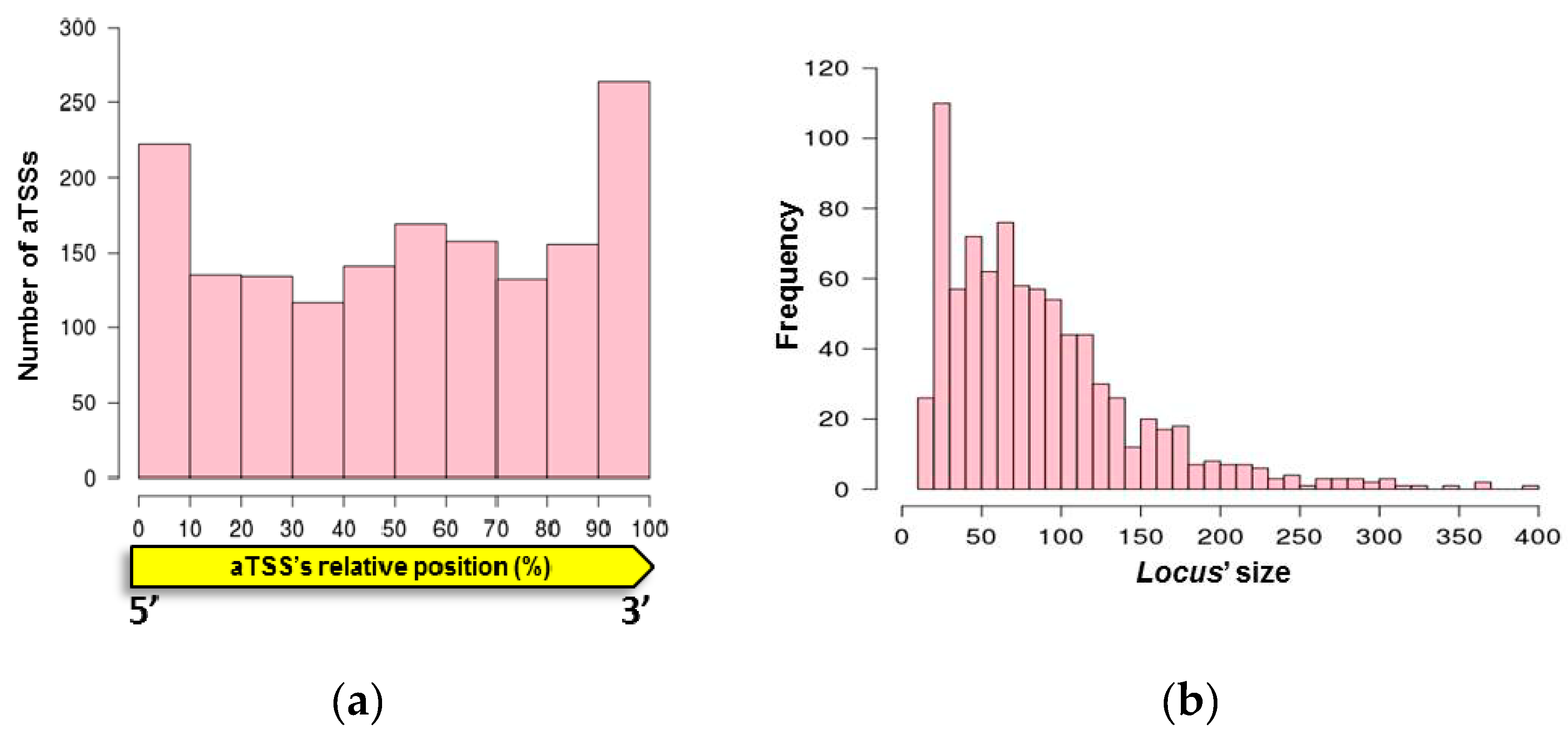 Genes 10 00280 g001