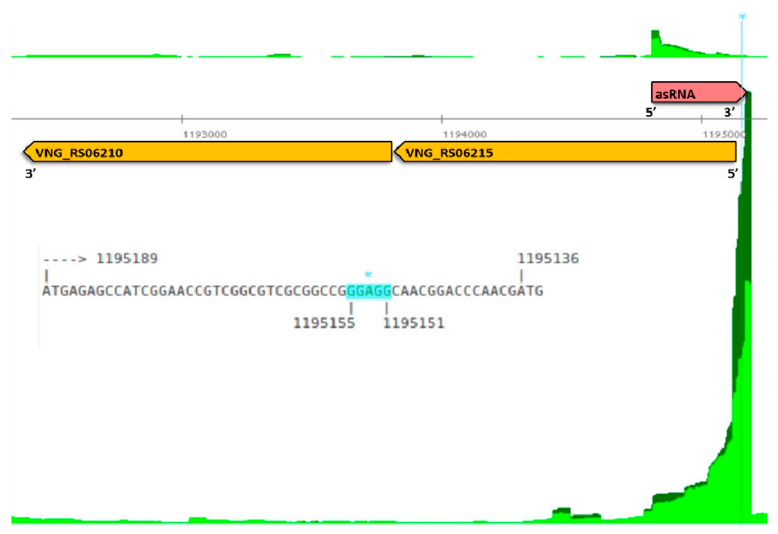 Genes 10 00280 g002