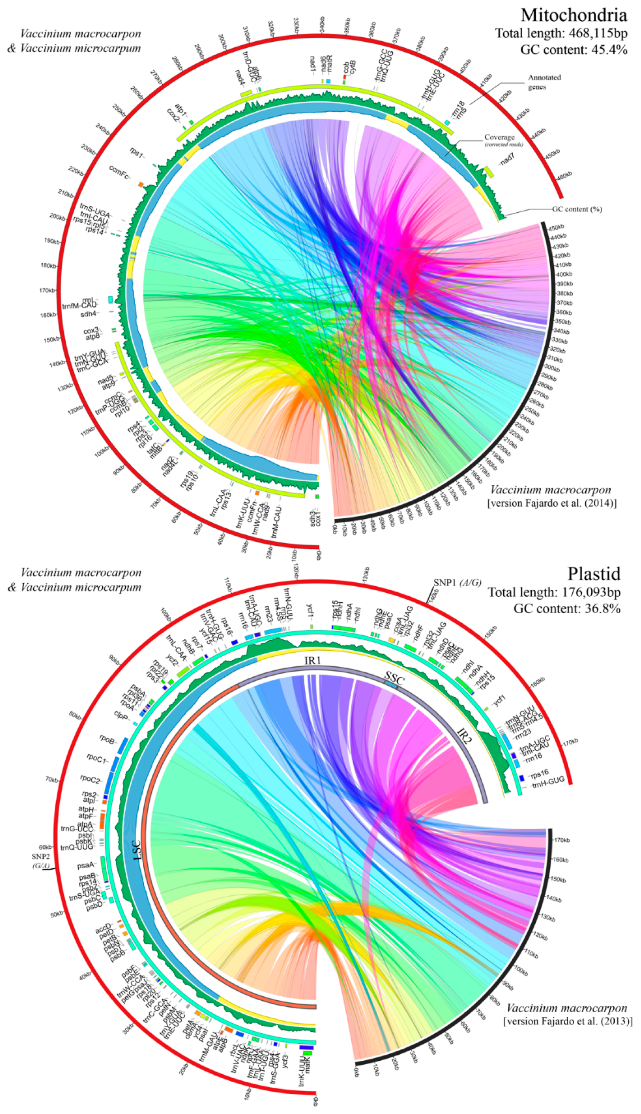 Genes 10 00291 g002 Genes 10 00291 g002