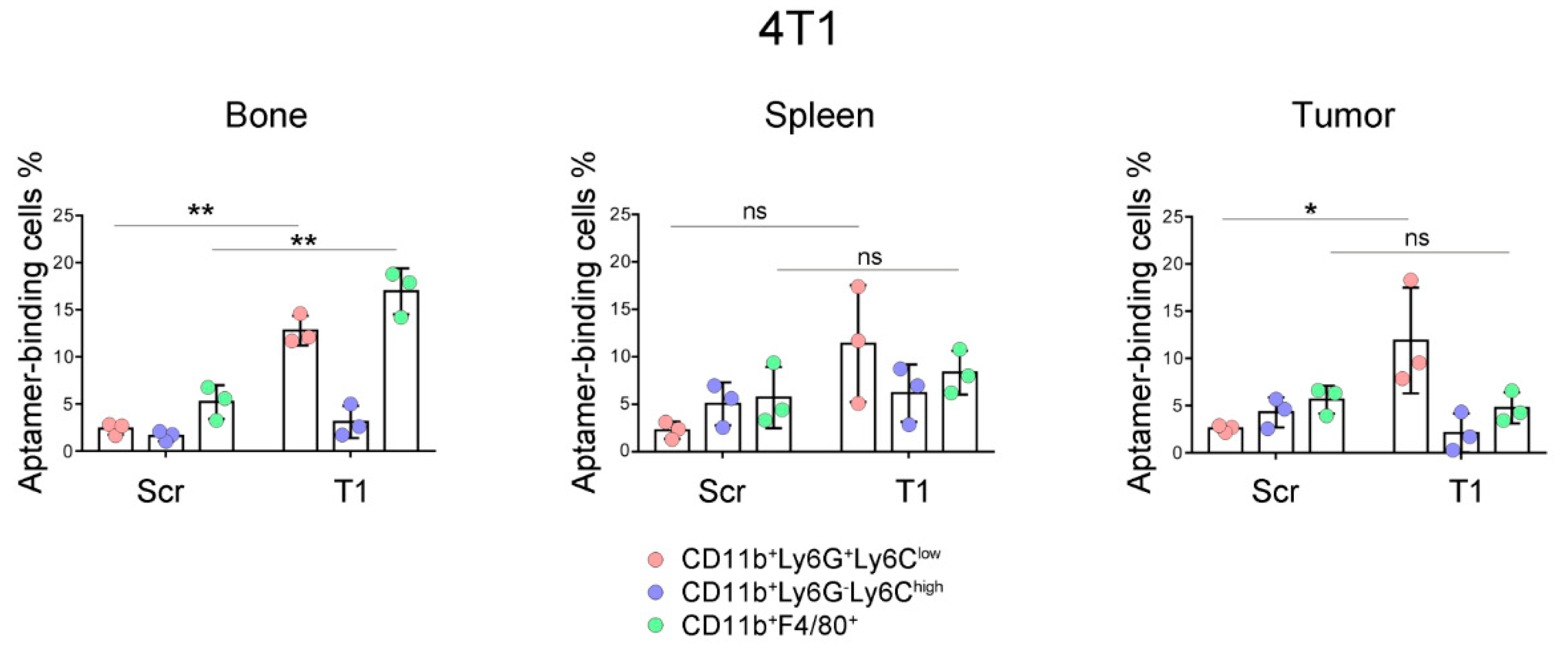 Genes 10 00297 g002 Genes 10 00297 g002