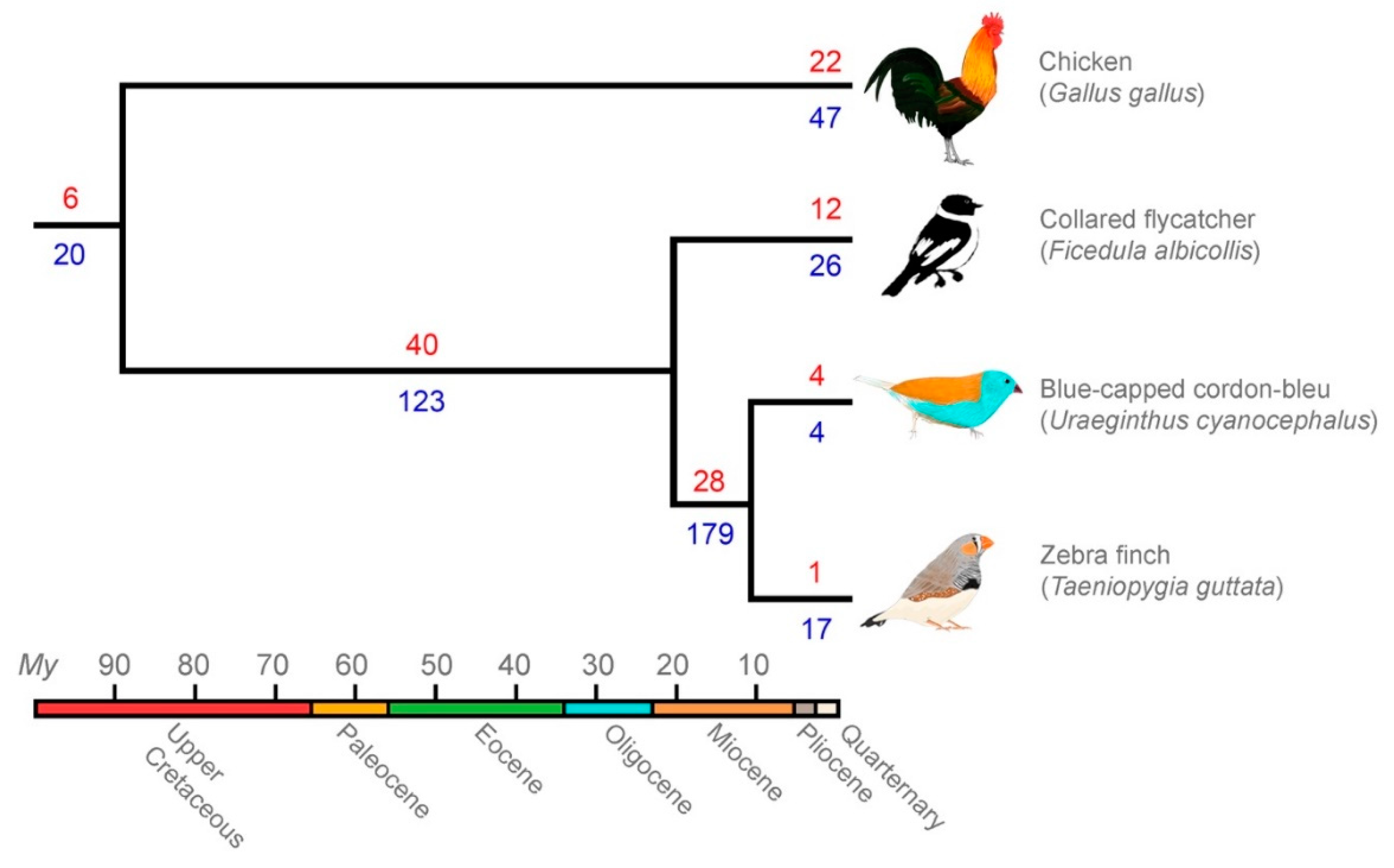 Genes 10 00301 g003 Genes 10 00301 g003