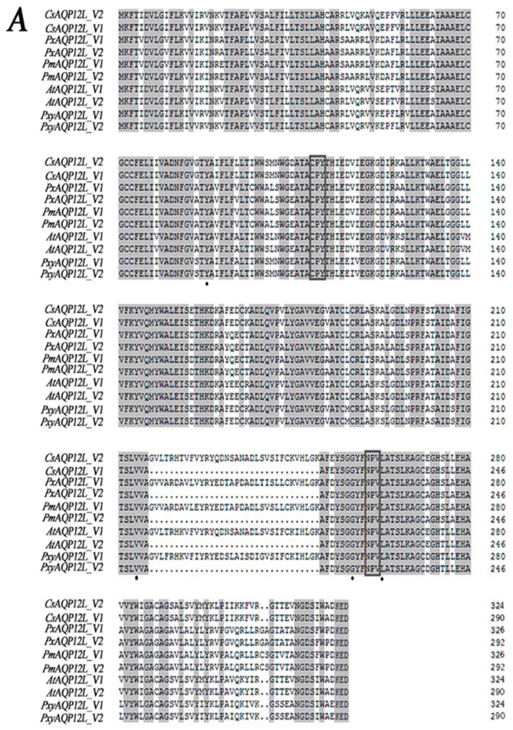 Genes 10 00311 g001a