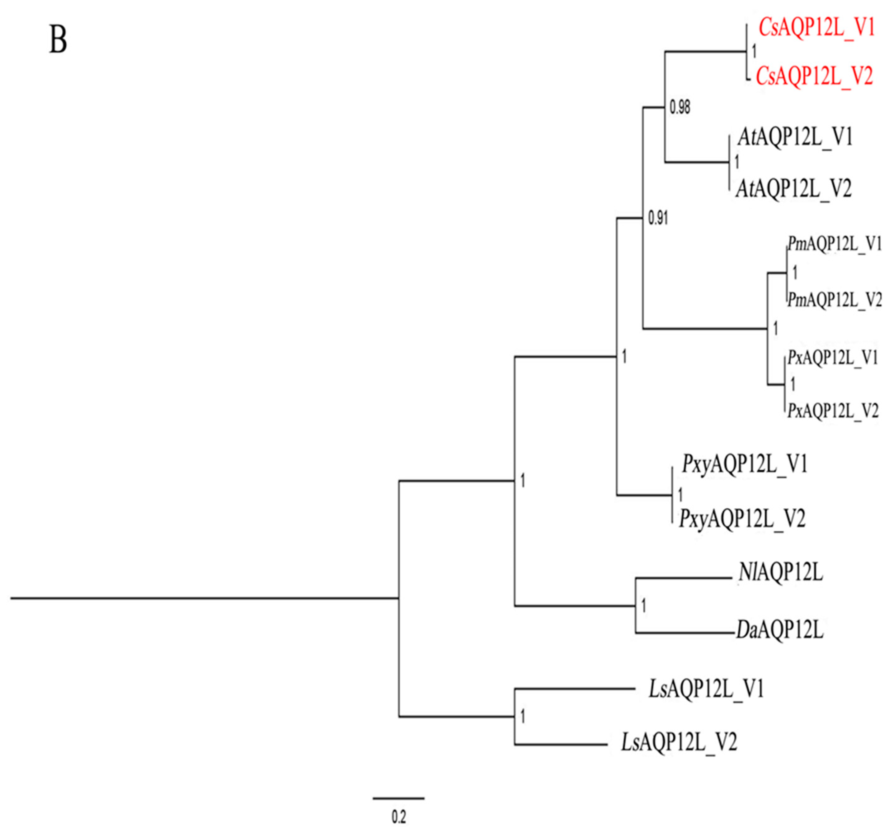 Genes 10 00311 g001b