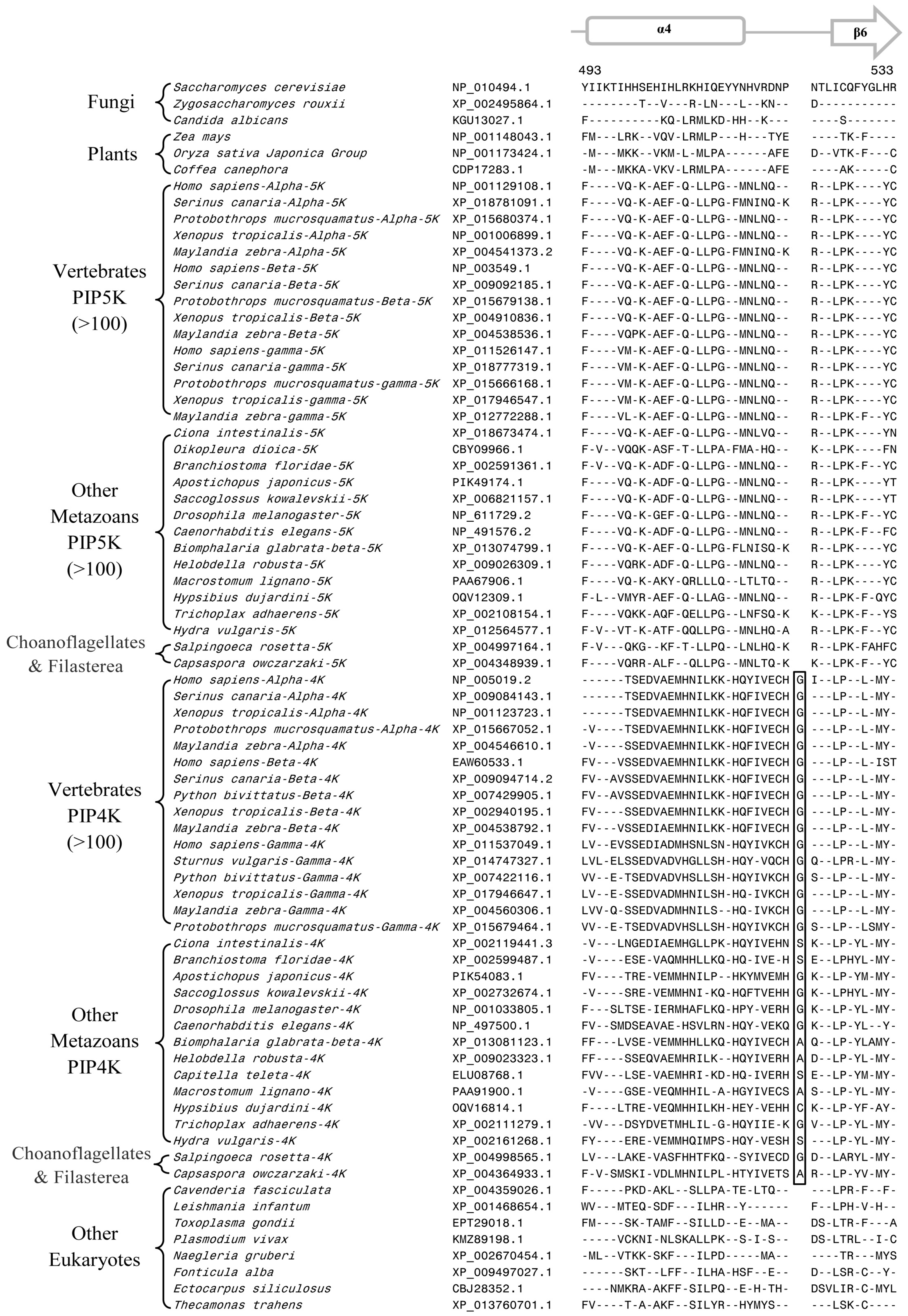 Genes 10 00312 g002 Genes 10 00312 g002