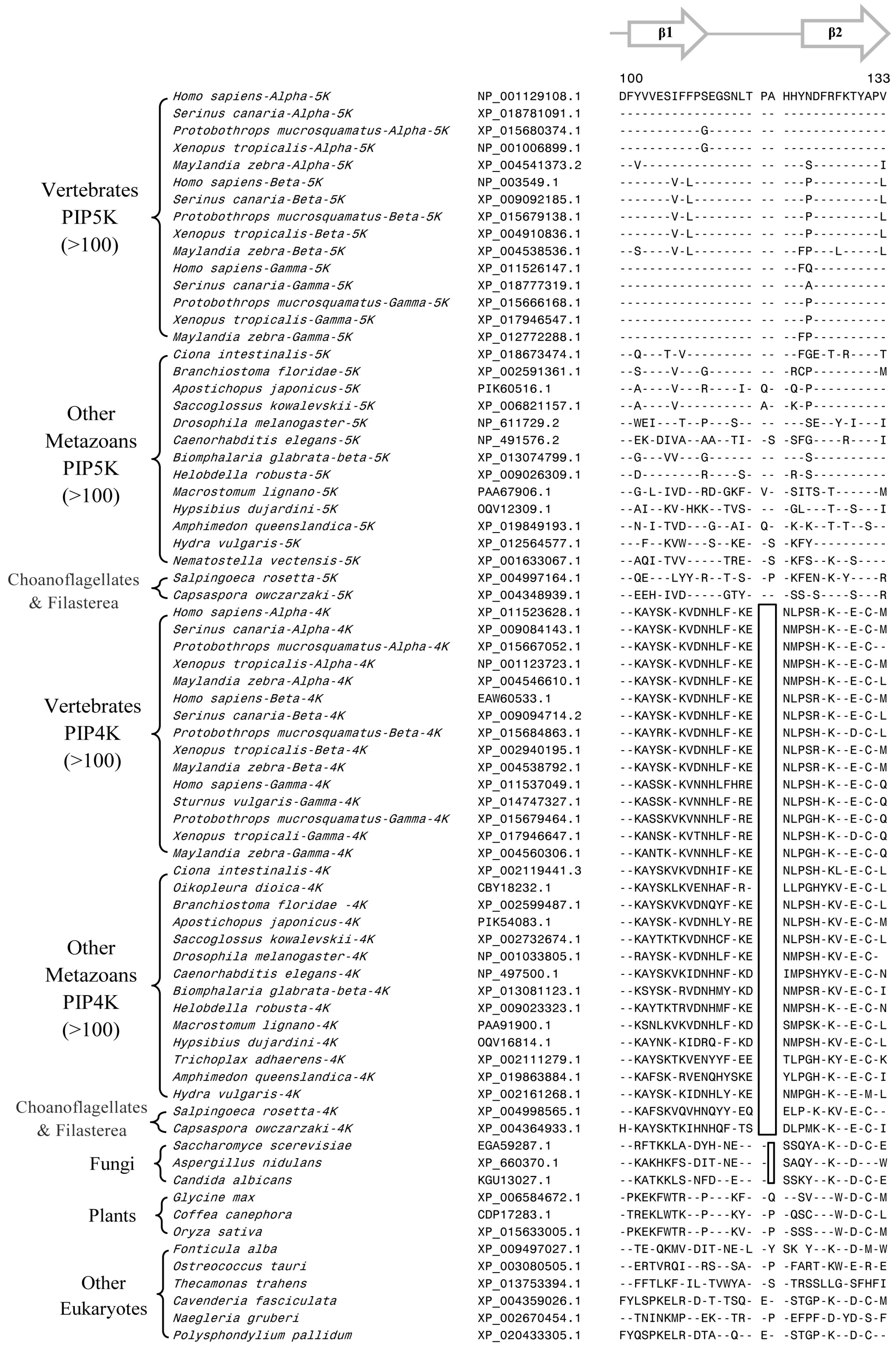 Genes 10 00312 g003 Genes 10 00312 g003