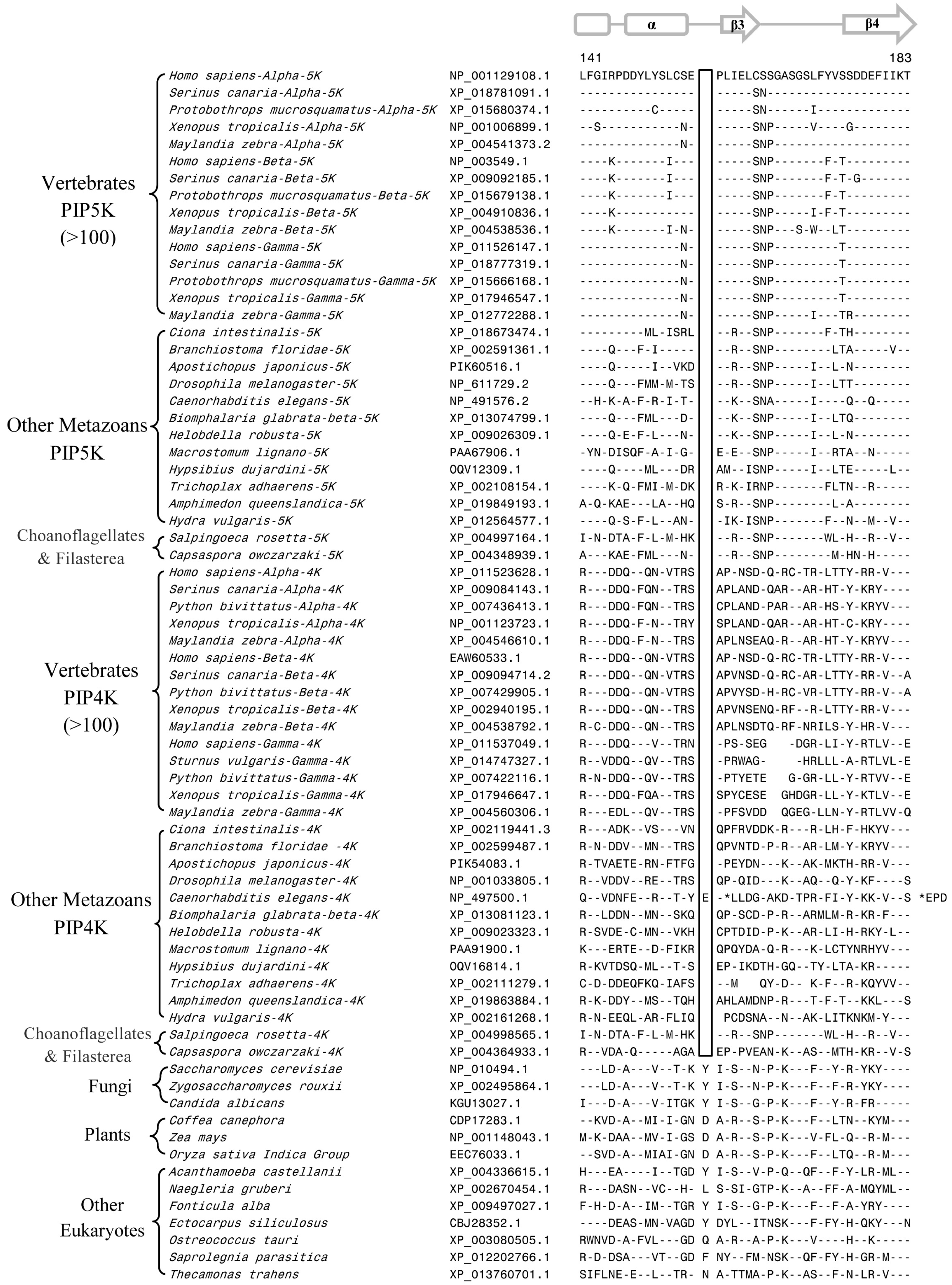 Genes 10 00312 g004 Genes 10 00312 g004