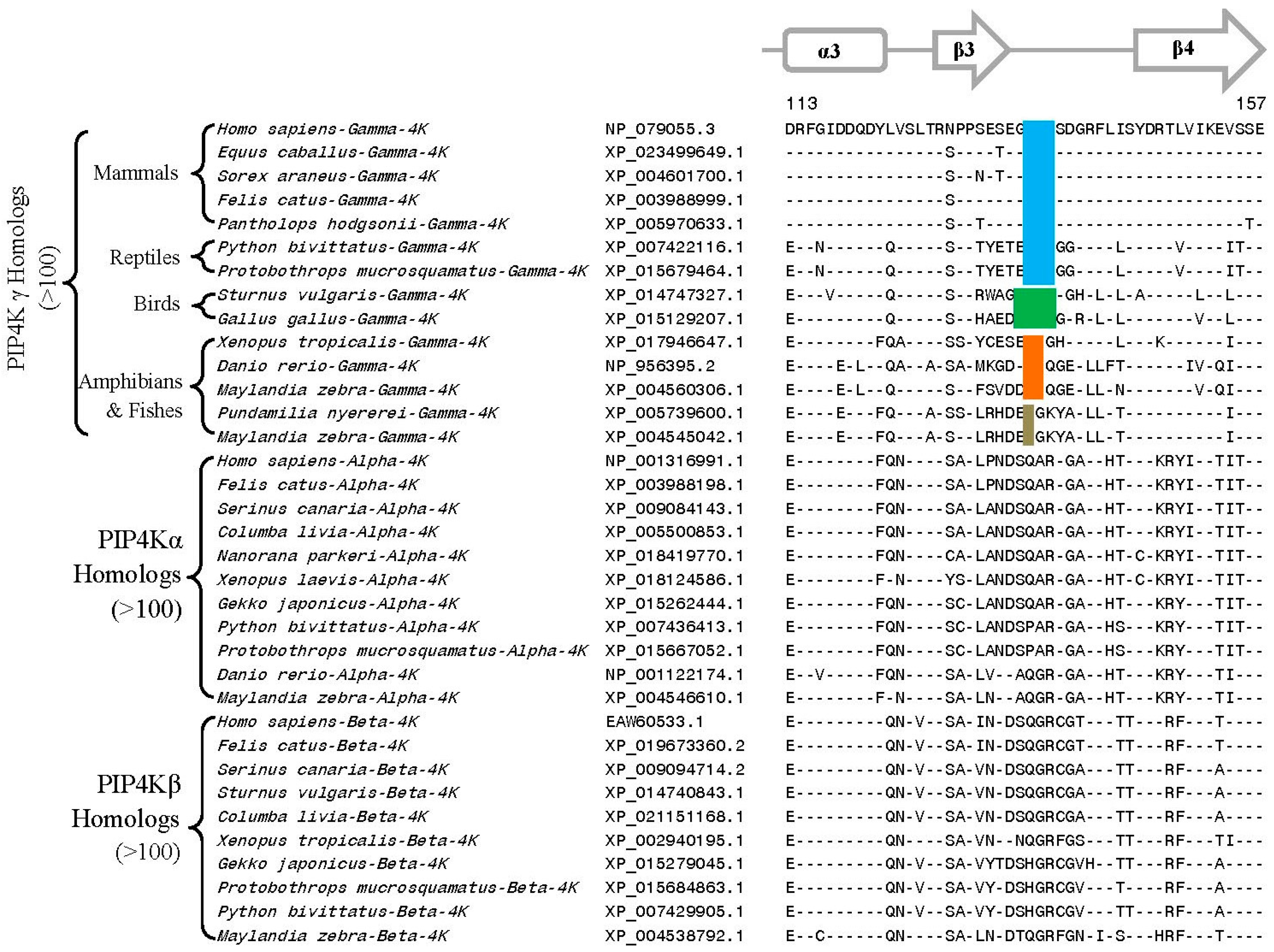 Genes 10 00312 g007 Genes 10 00312 g007
