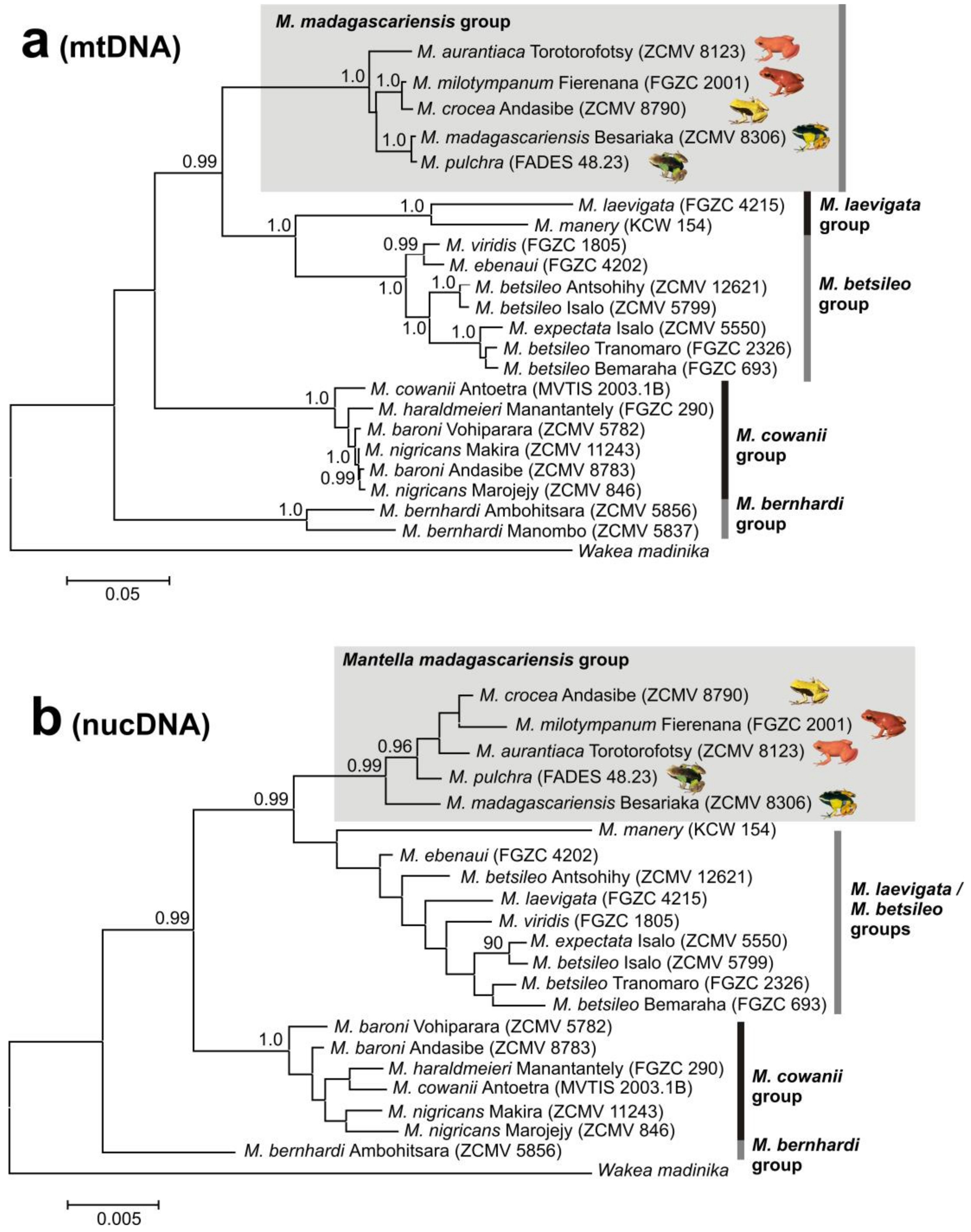 Genes 10 00317 g002 Genes 10 00317 g002