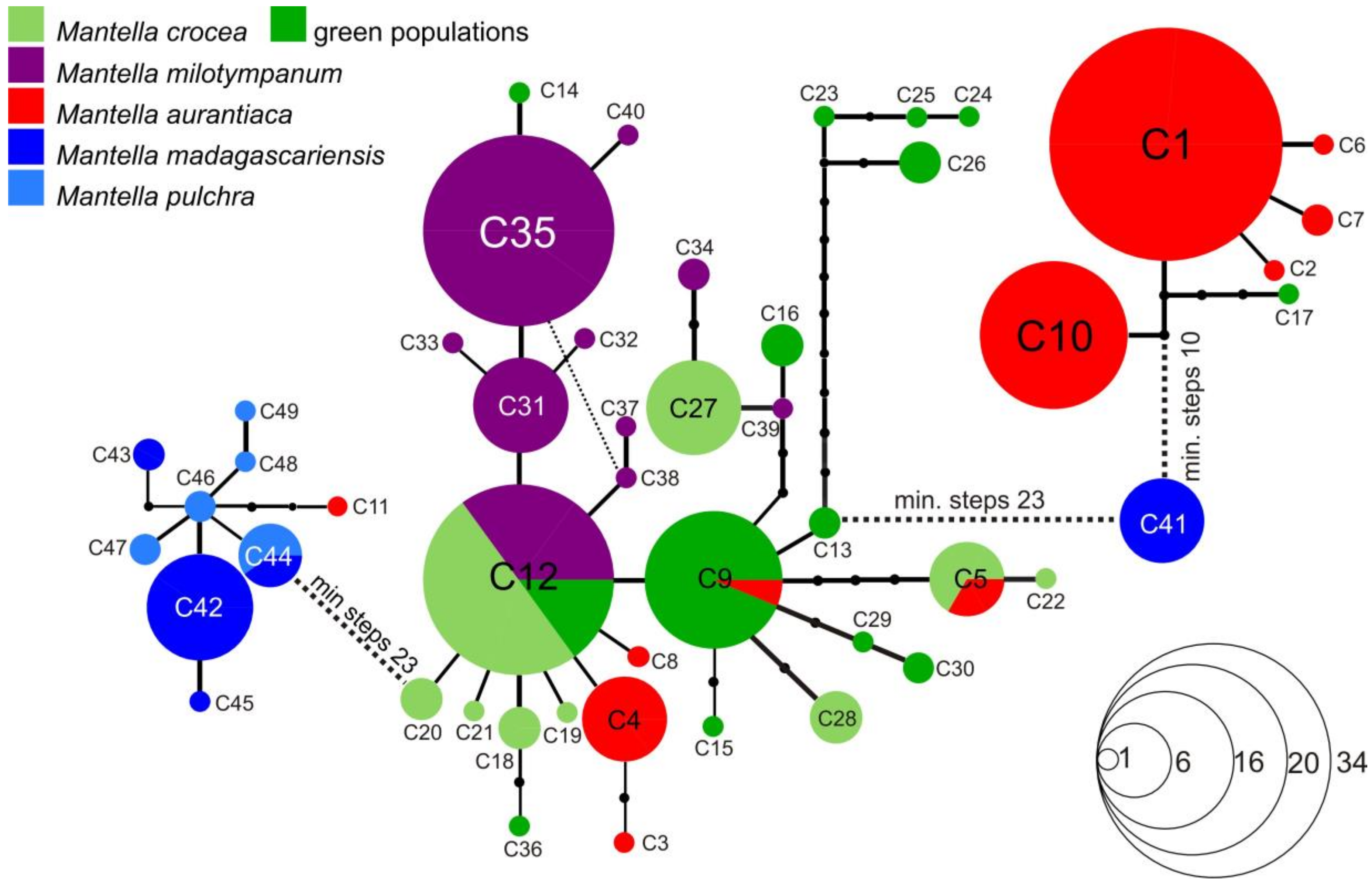 Genes 10 00317 g003 Genes 10 00317 g003