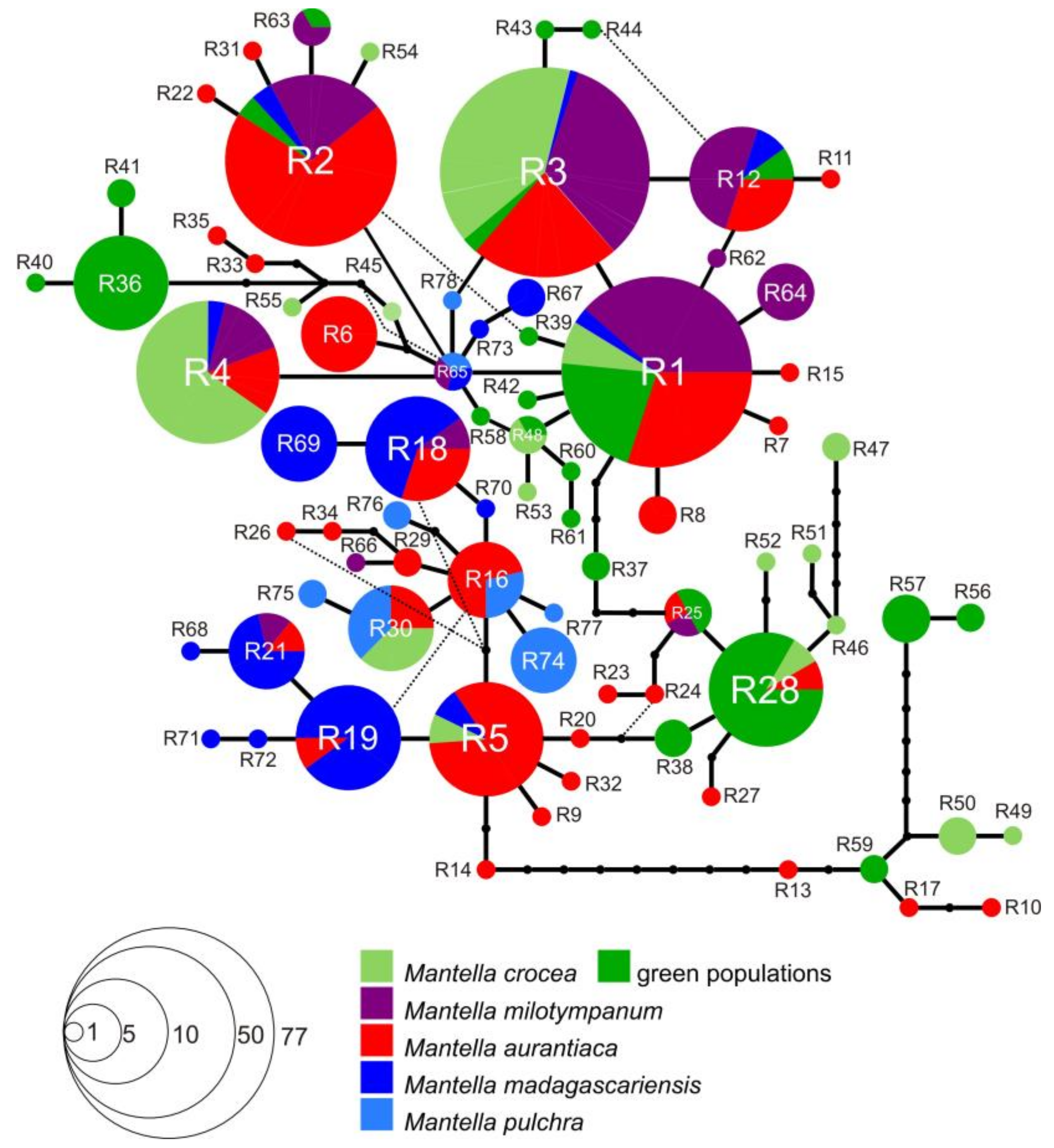 Genes 10 00317 g004 Genes 10 00317 g004