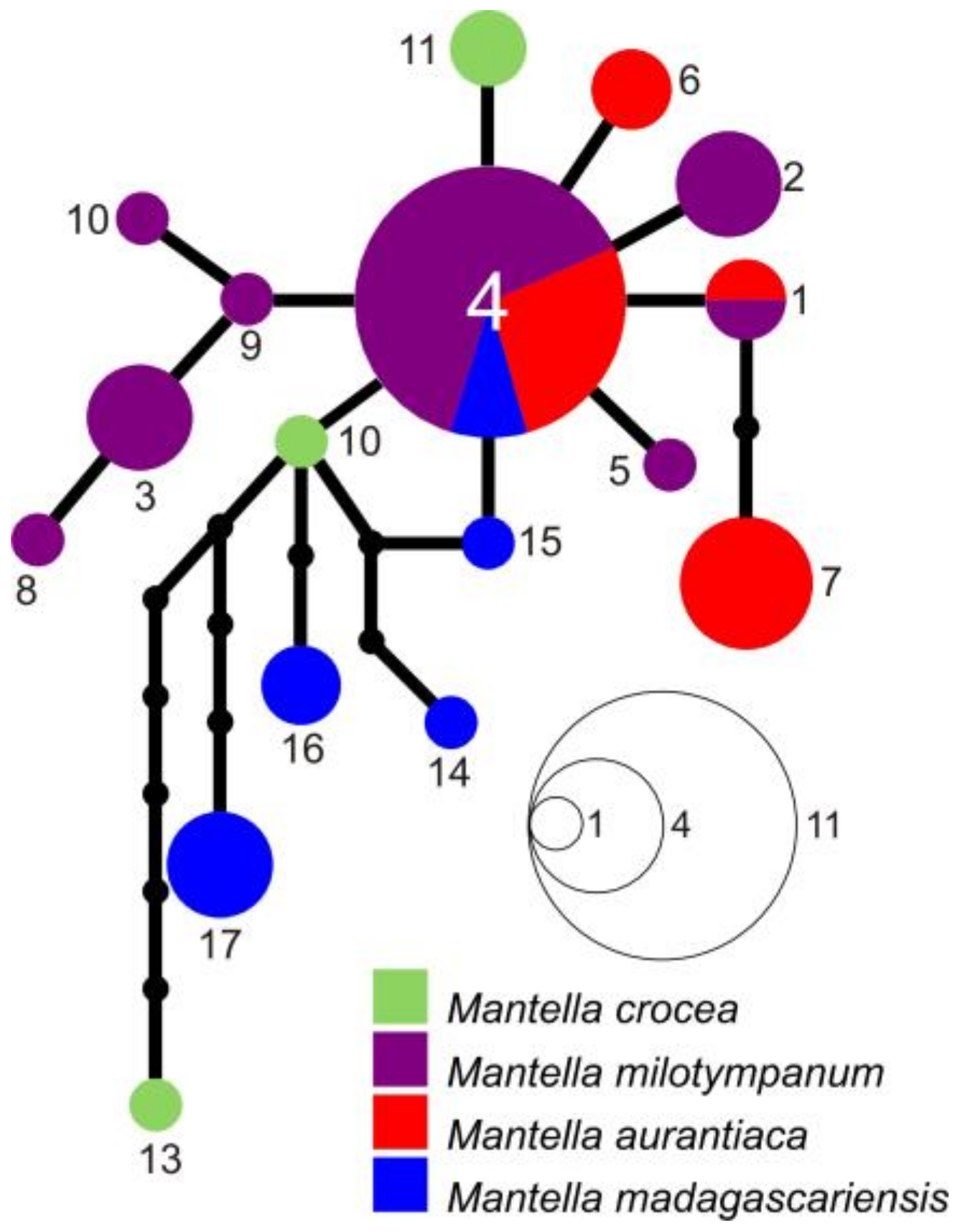 Genes 10 00317 g005 Genes 10 00317 g005