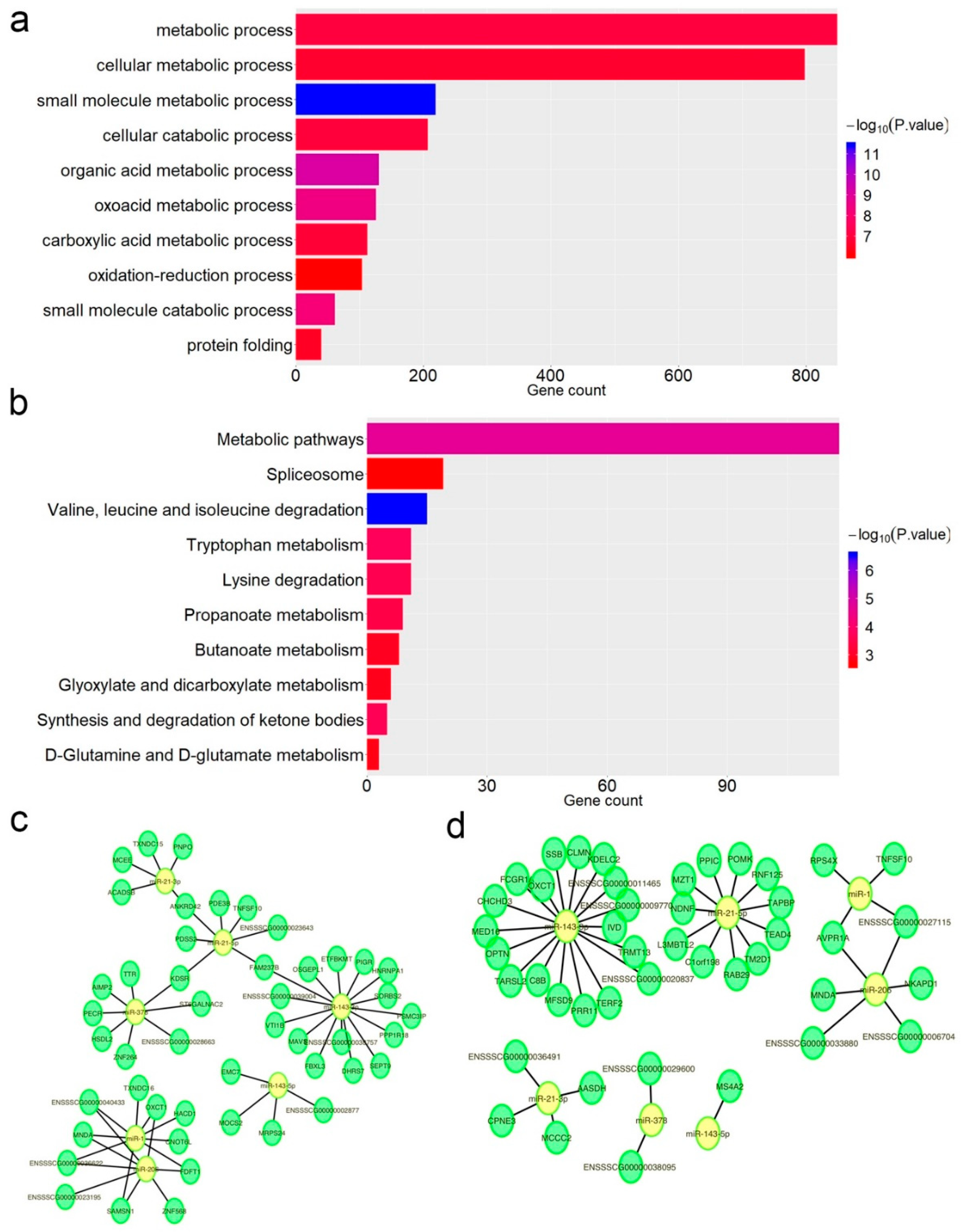 Genes 10 00327 g004 Genes 10 00327 g004