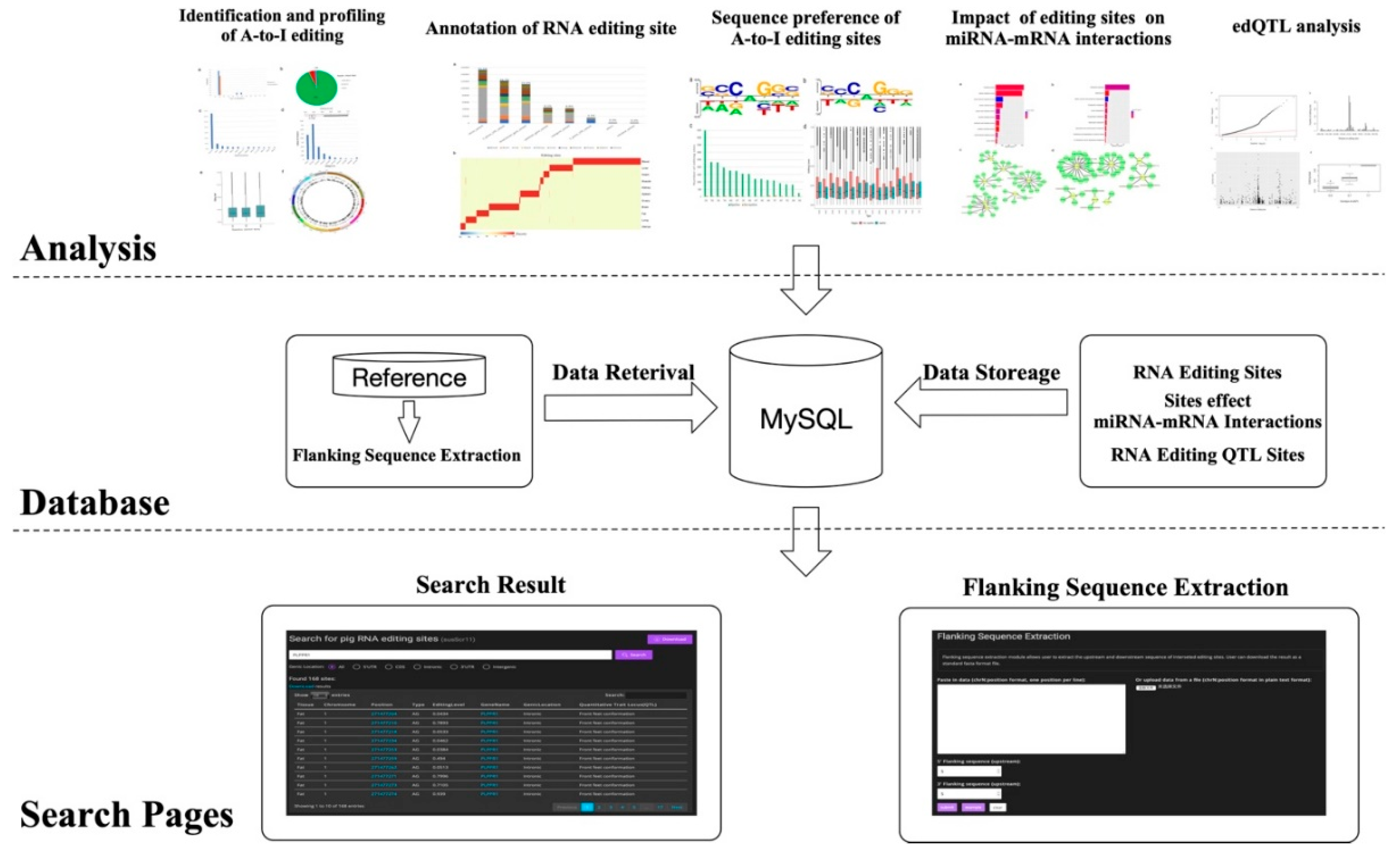 Genes 10 00327 g006 Genes 10 00327 g006