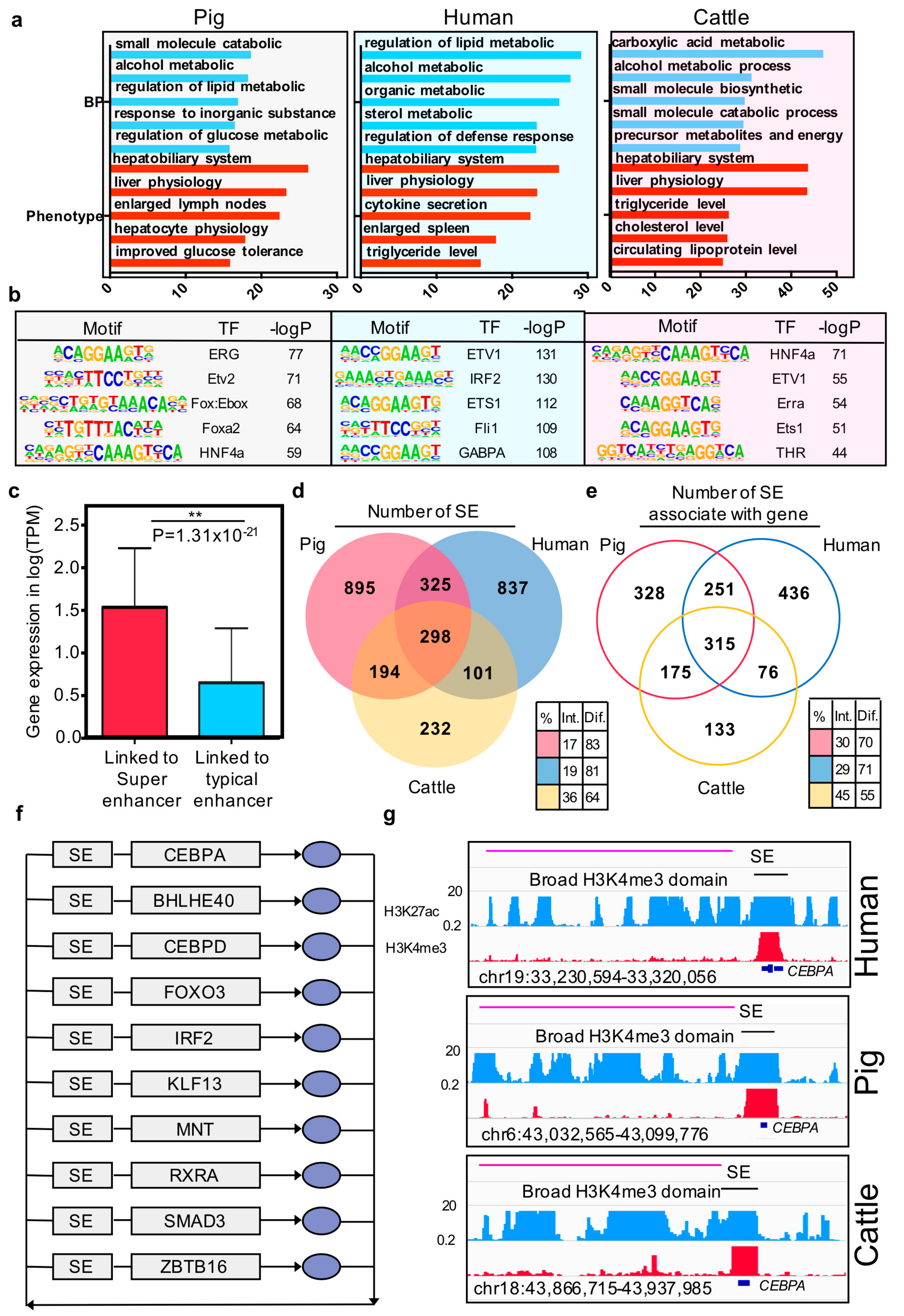 Genes 10 00348 g004