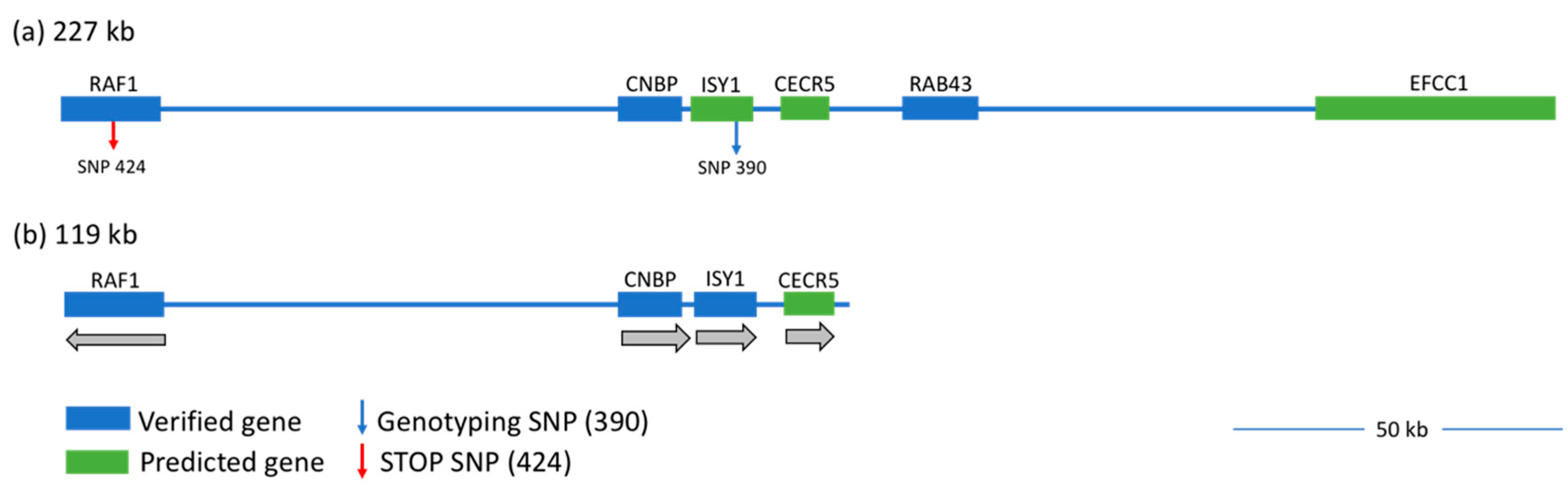 Genes 10 00353 g002 Genes 10 00353 g002