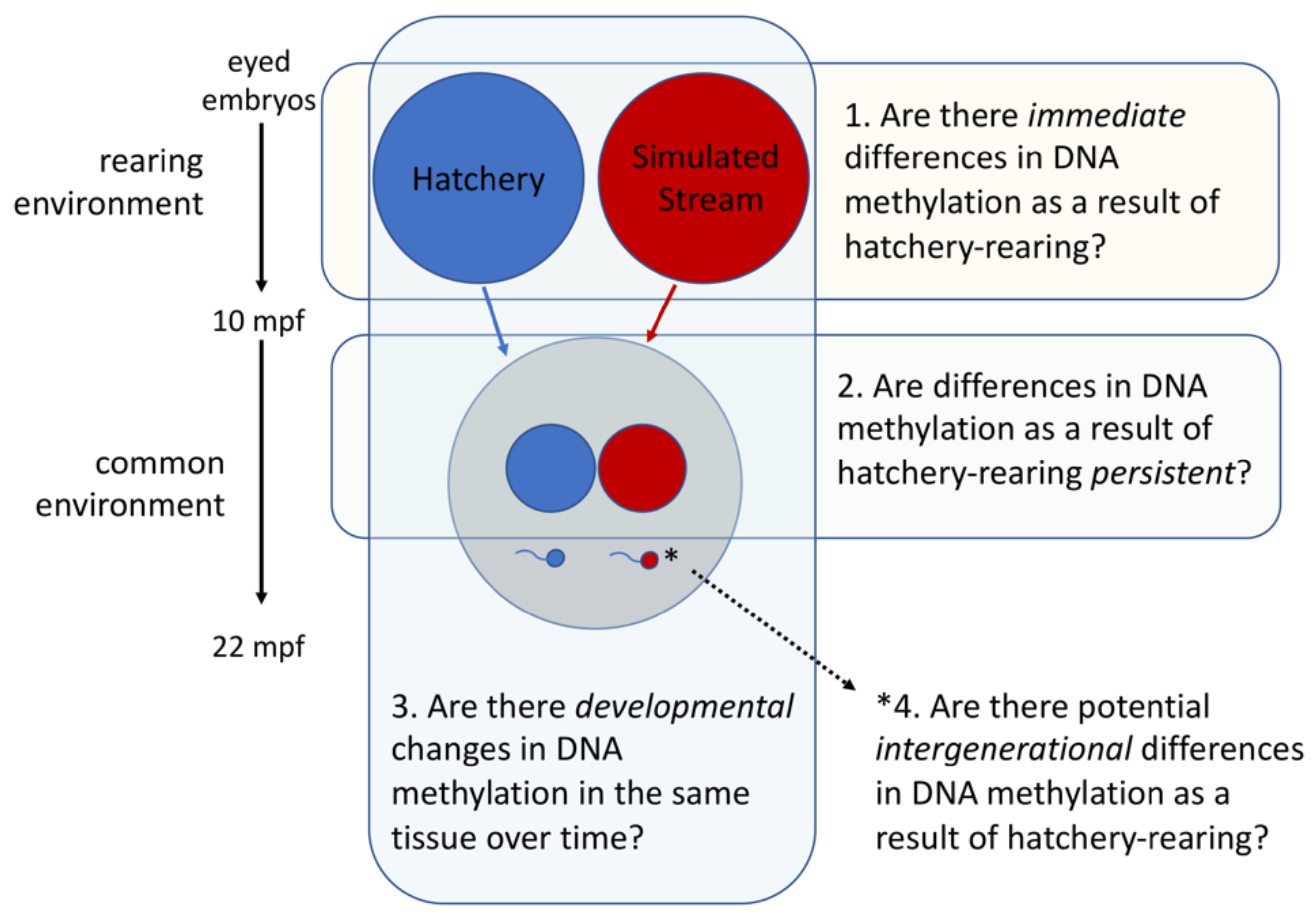 Genes 10 00356 g001 Genes 10 00356 g001