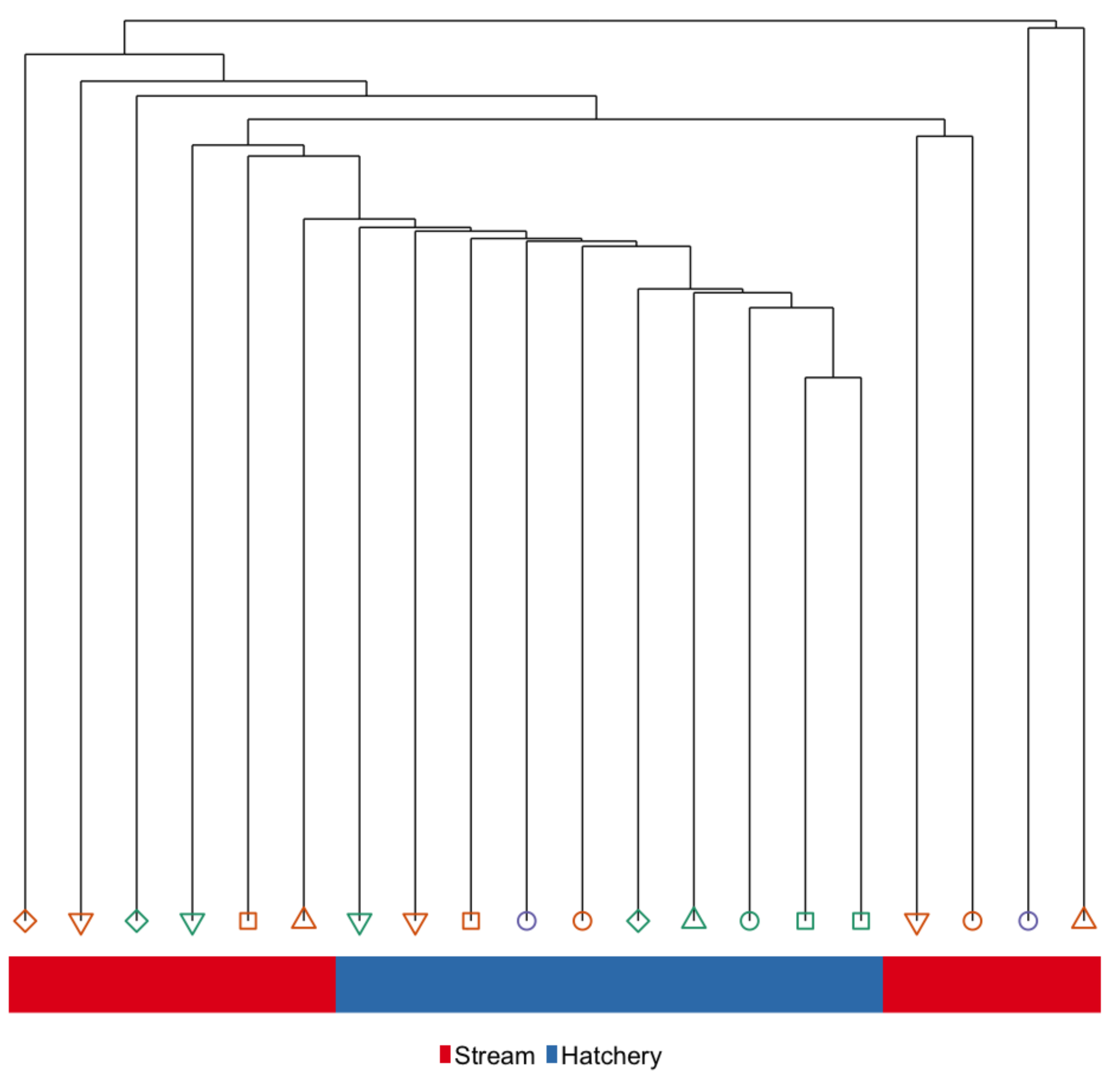 Genes 10 00356 g003 Genes 10 00356 g003