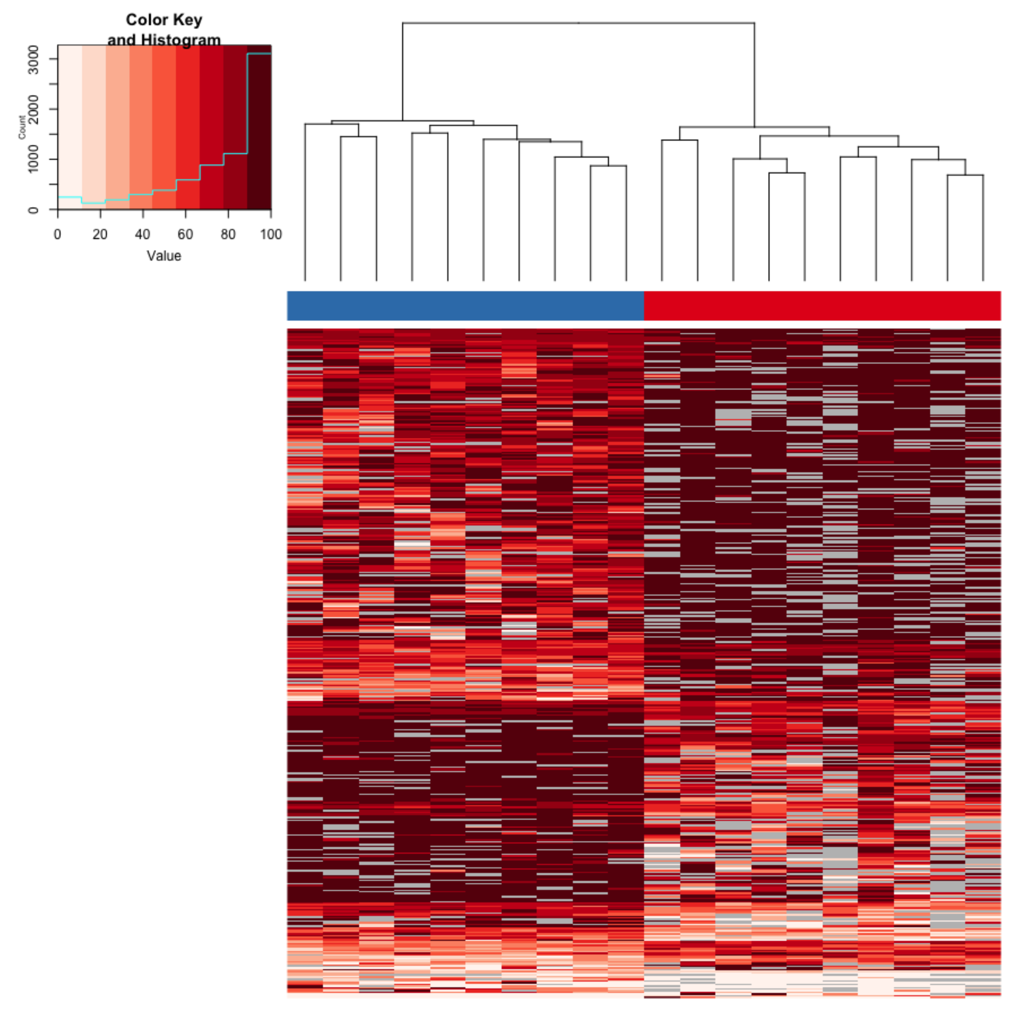 Genes 10 00356 g004 Genes 10 00356 g004