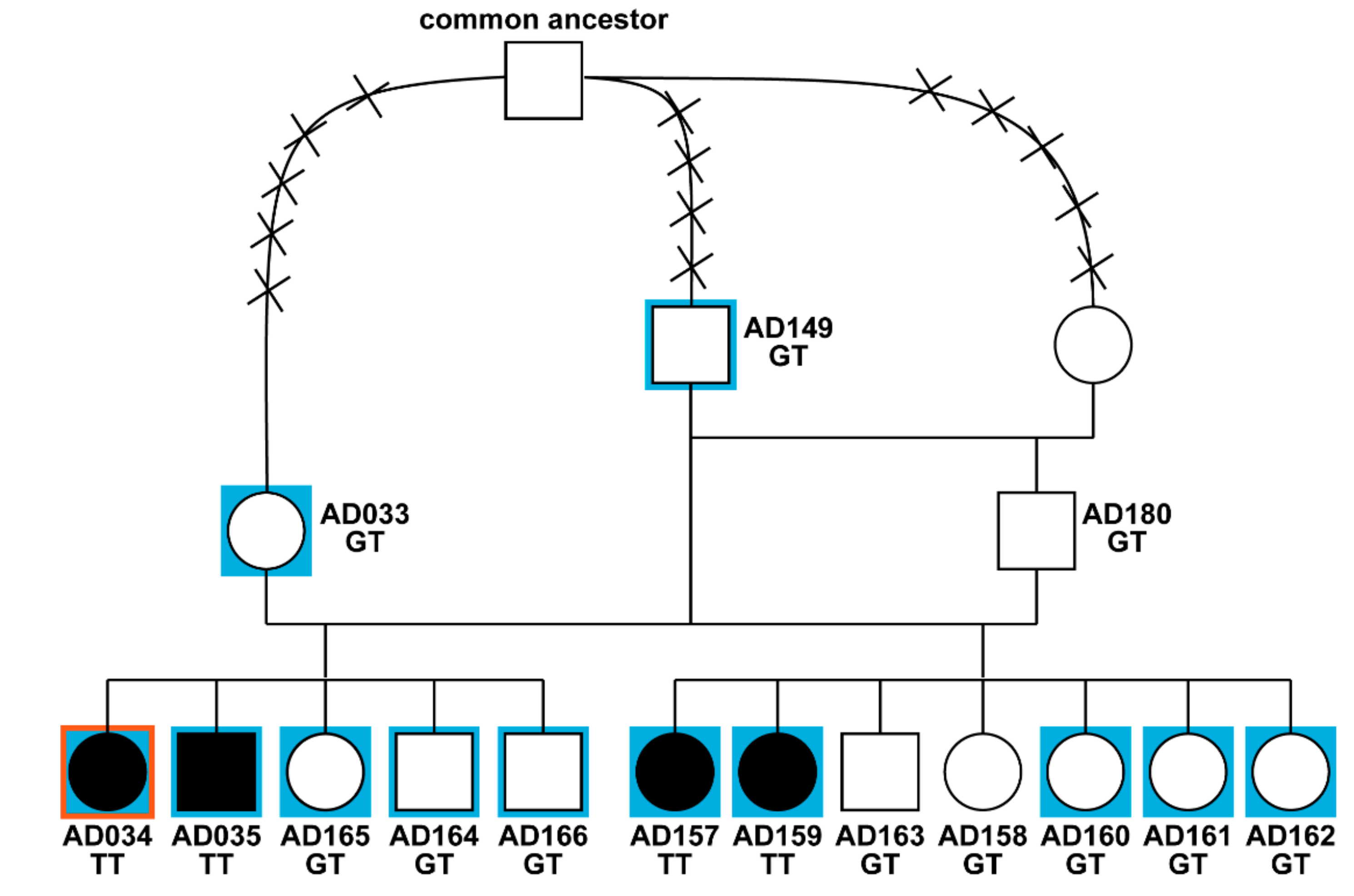 Genes 10 00362 g001 Genes 10 00362 g001