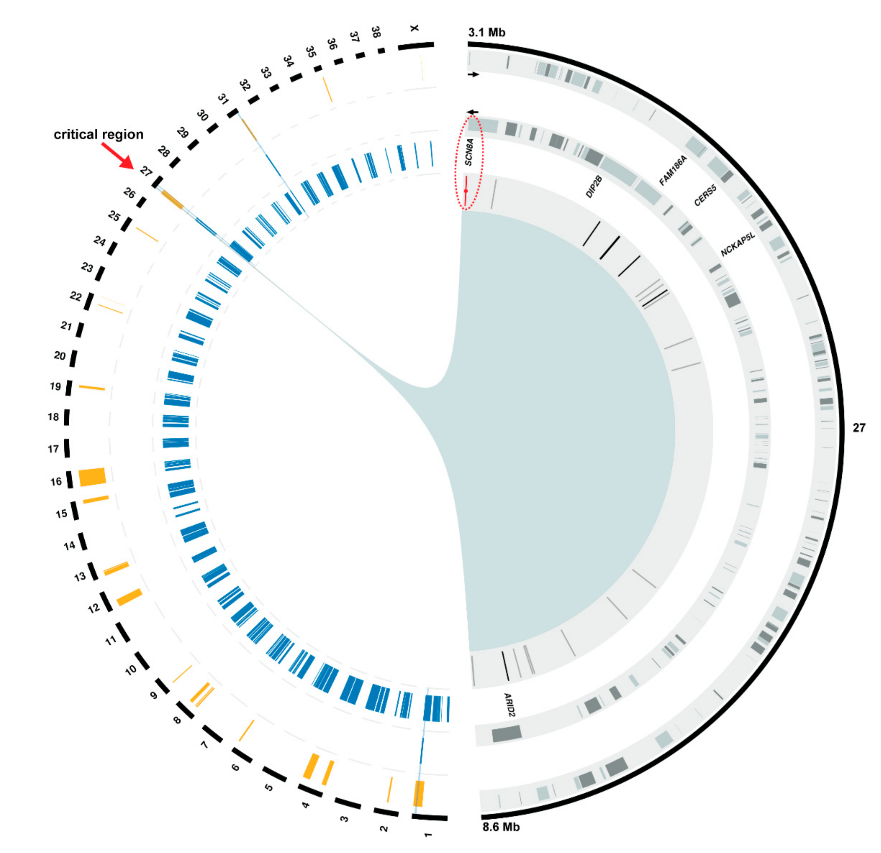 Genes 10 00362 g003 Genes 10 00362 g003