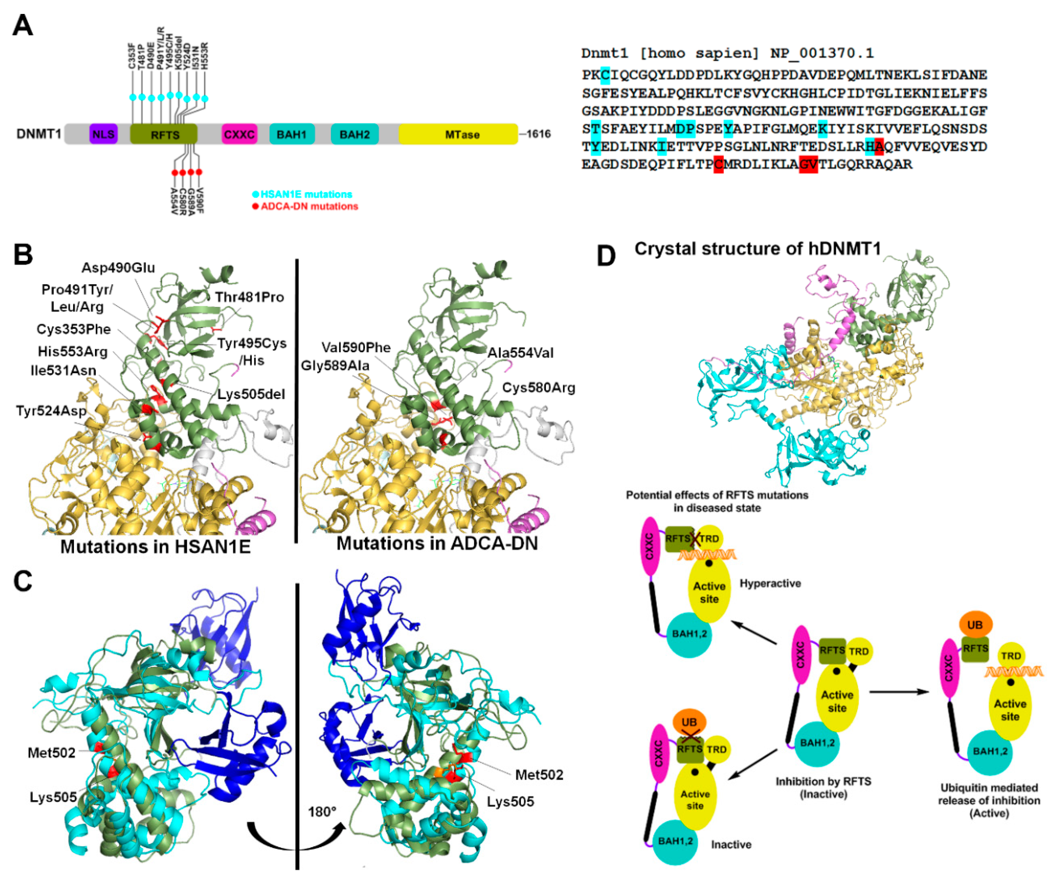 Genes 10 00369 g001