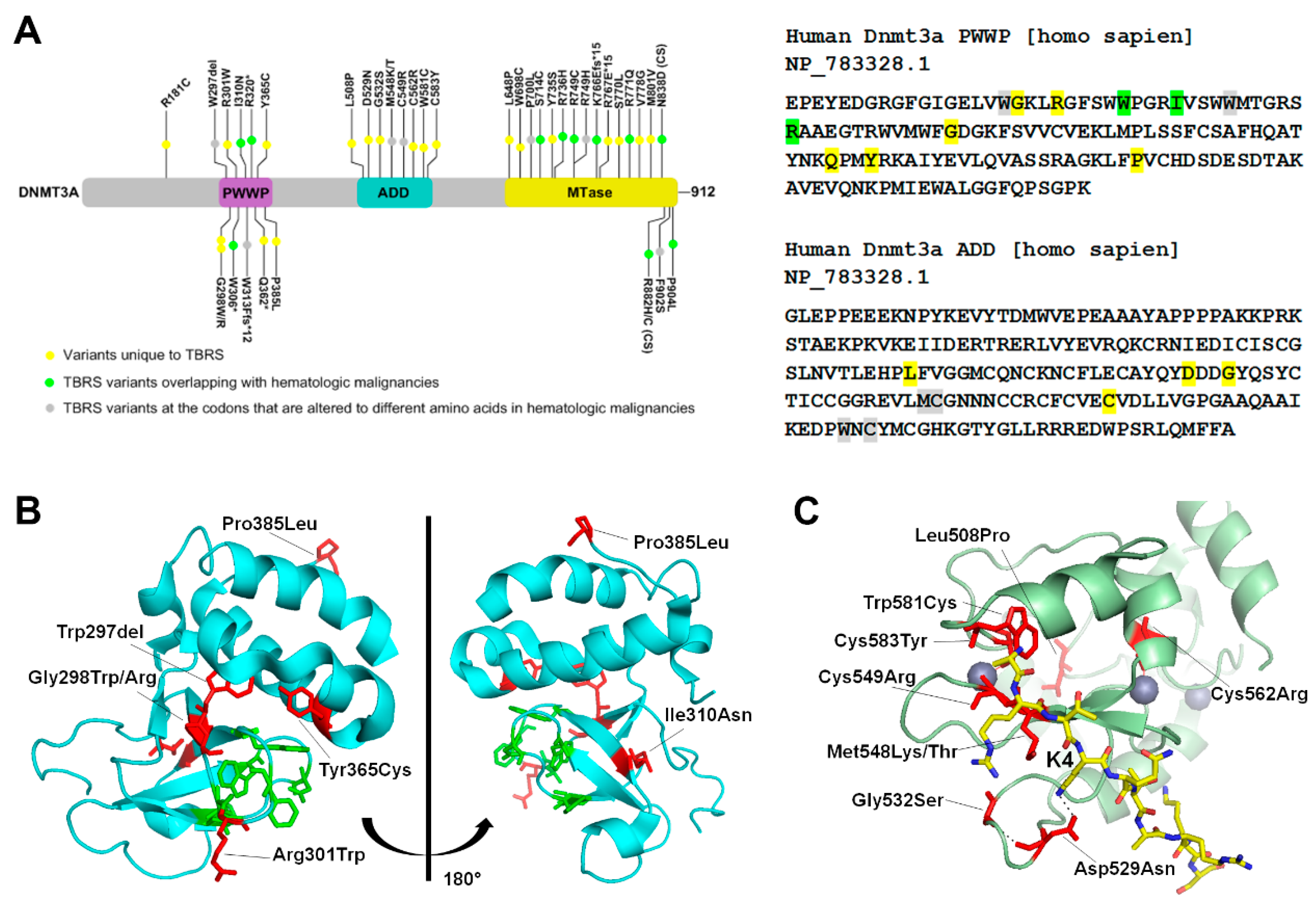 Genes 10 00369 g002
