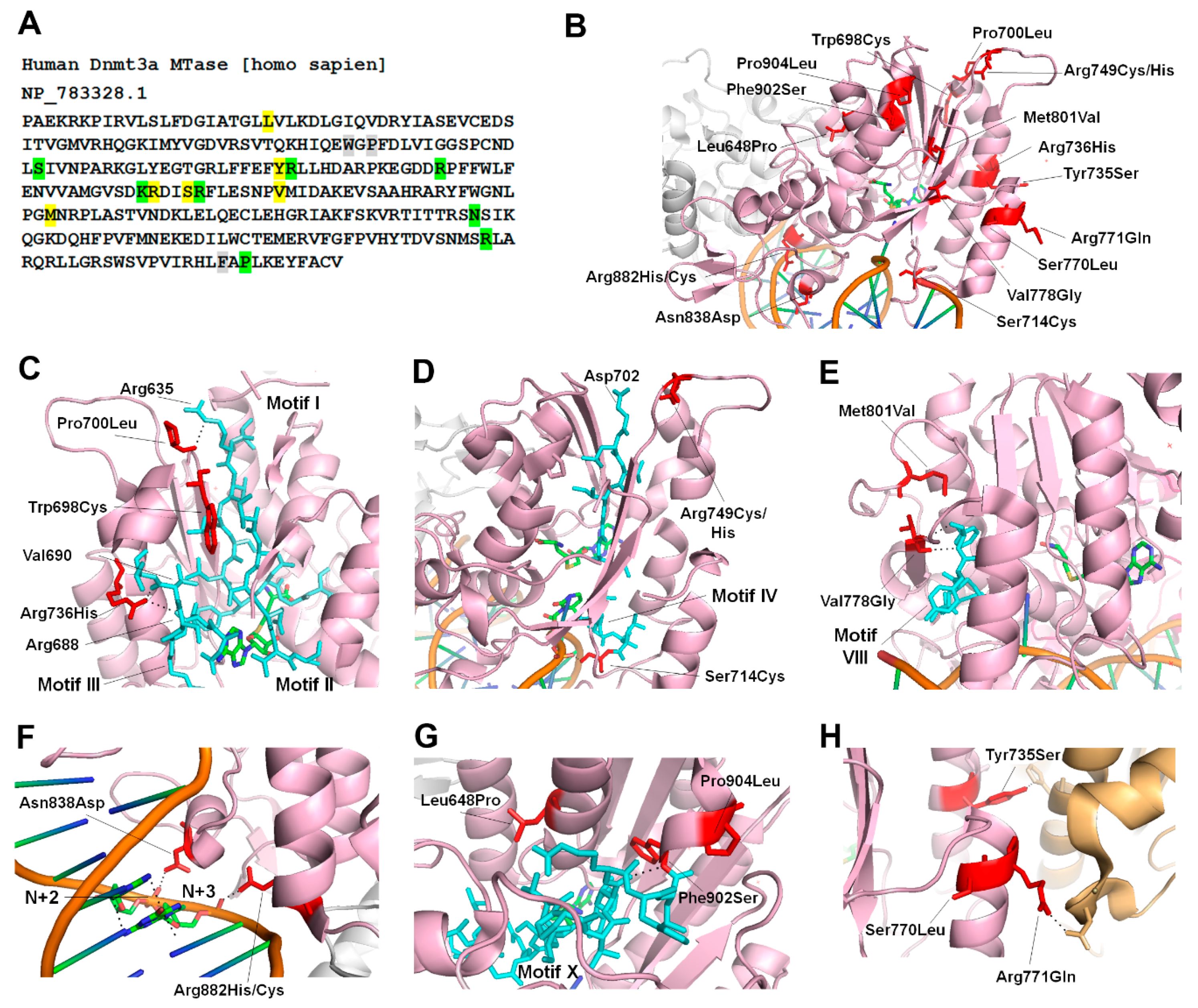 Genes 10 00369 g003