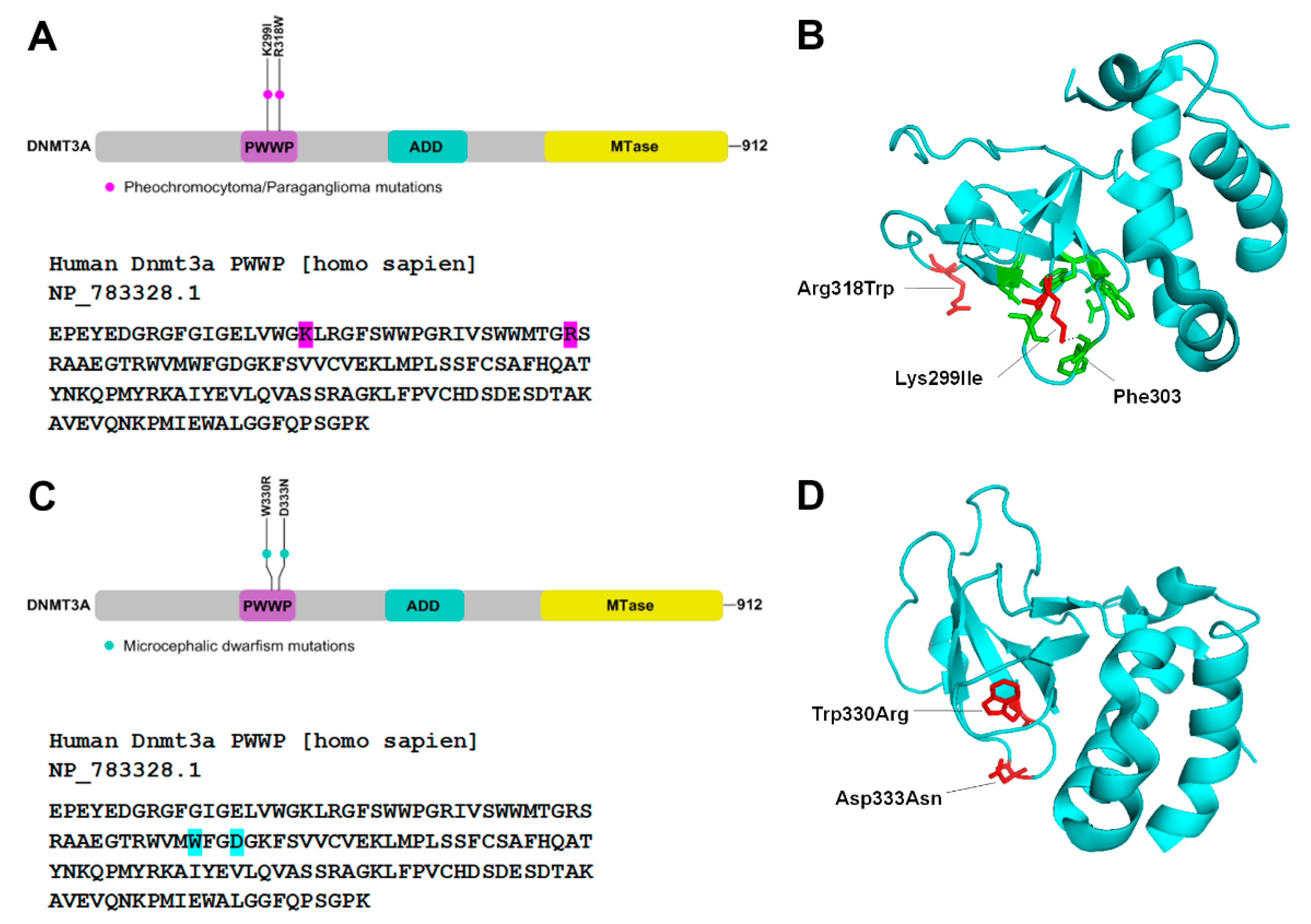 Genes 10 00369 g004