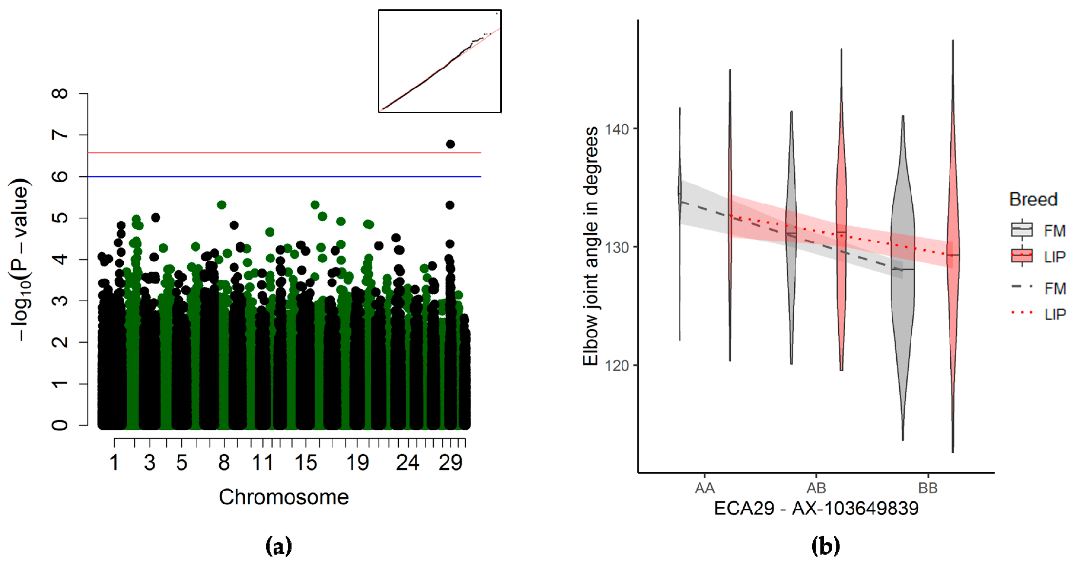 Genes 10 00370 g003