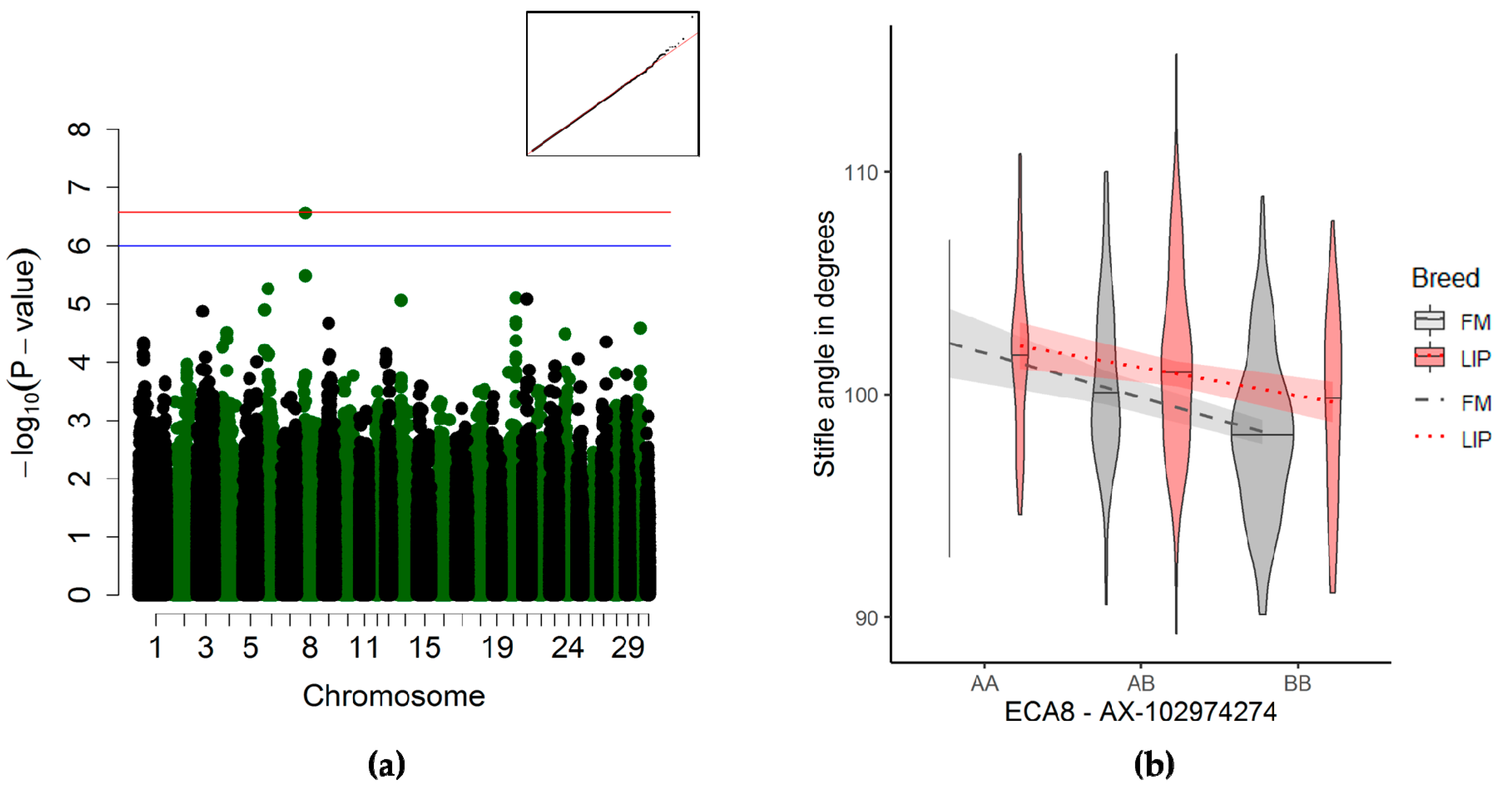 Genes 10 00370 g004