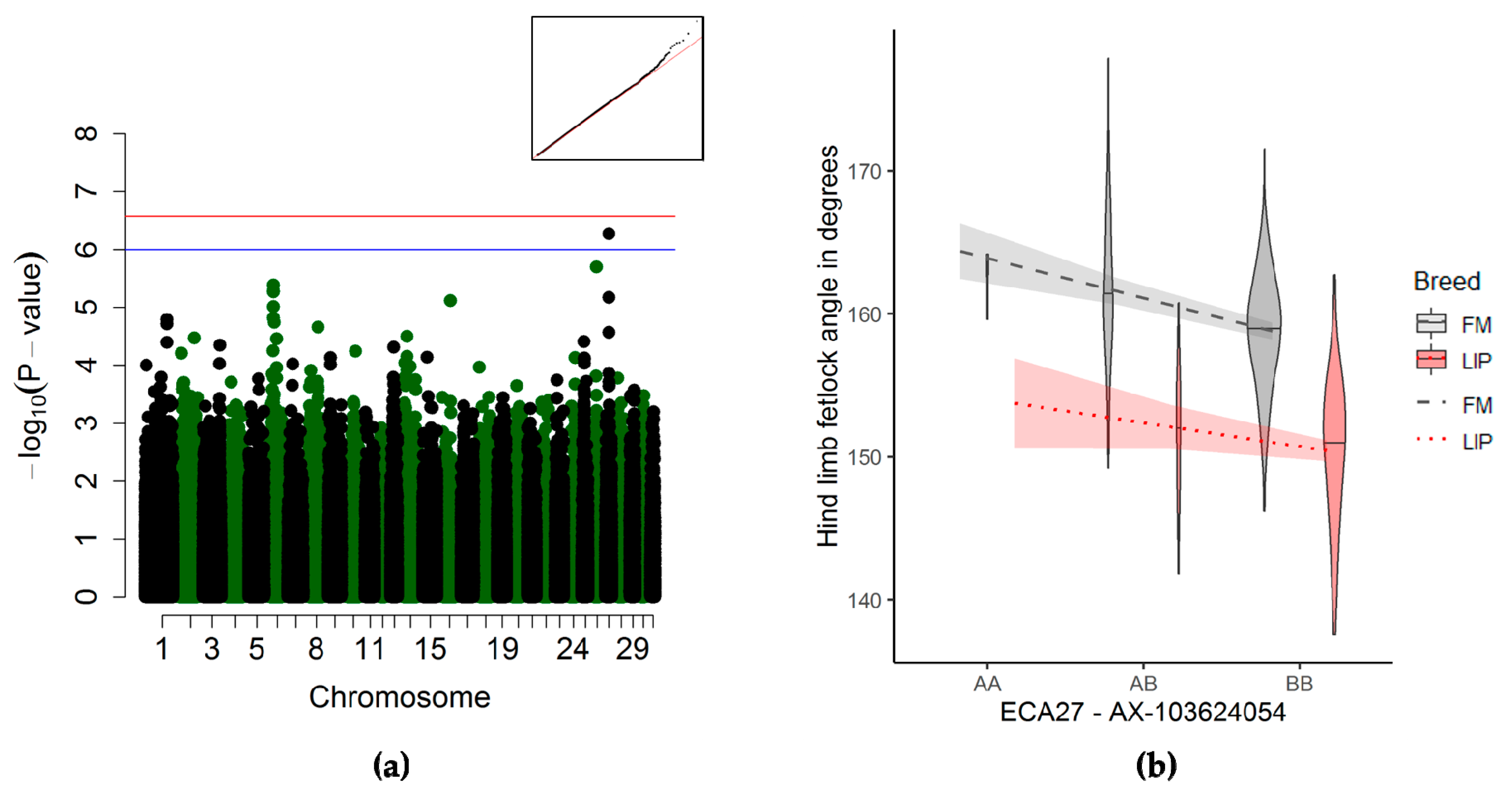 Genes 10 00370 g005