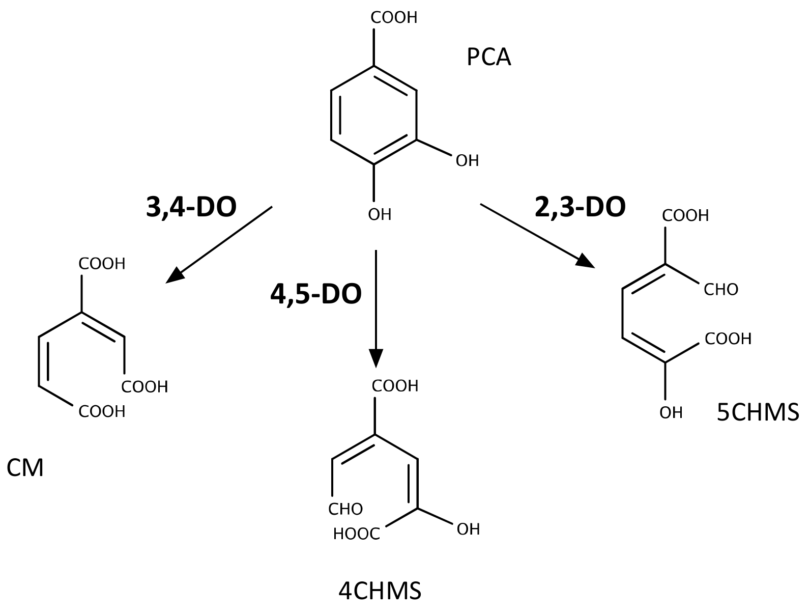 Genes 10 00373 g003