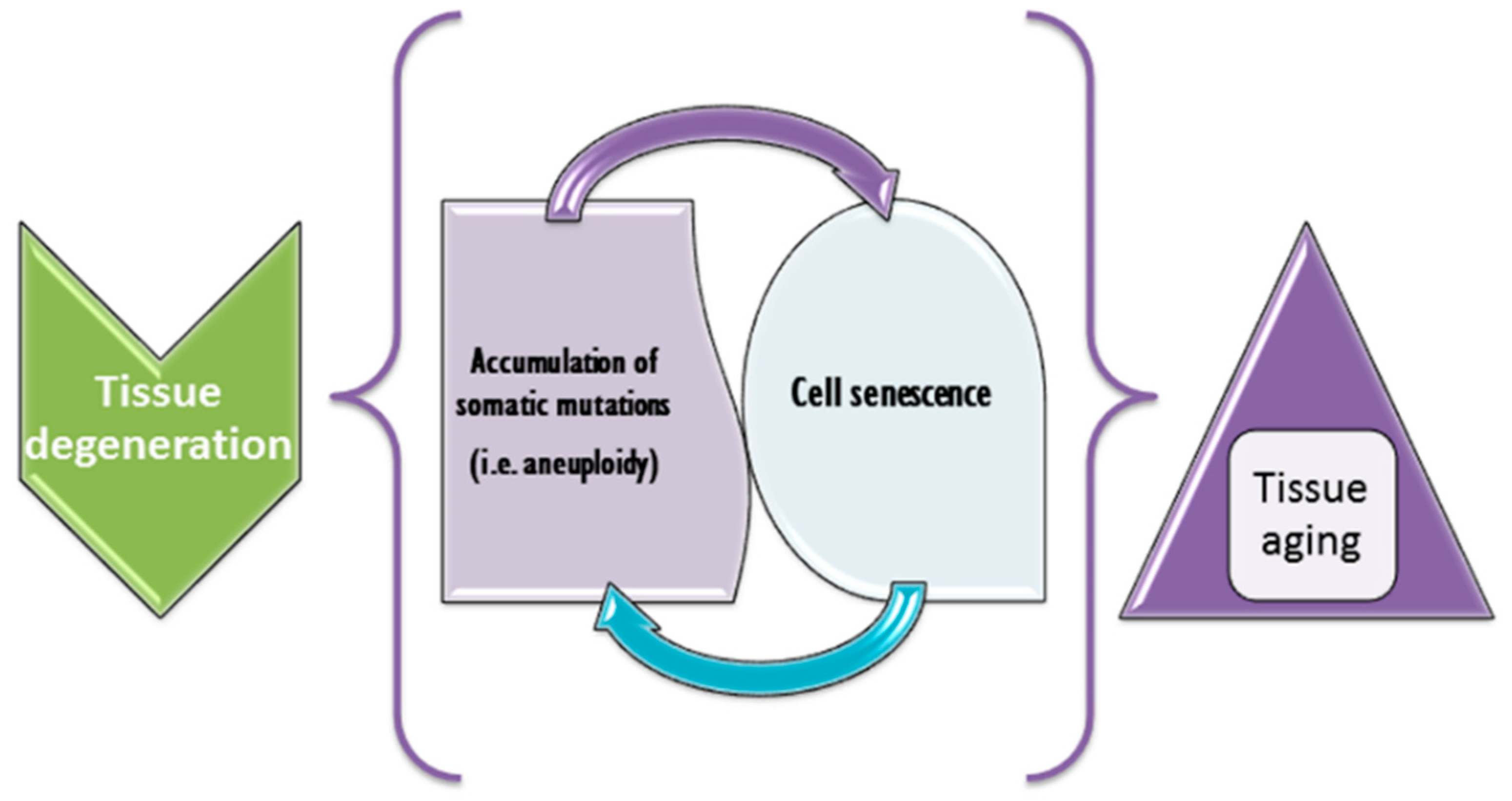 Genes 10 00379 g003 Genes 10 00379 g003