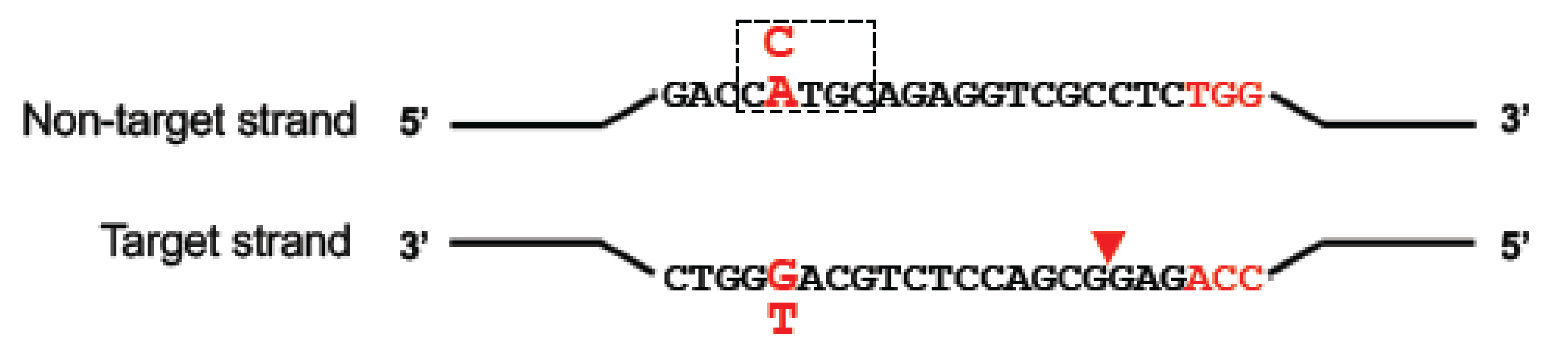 Genes 10 00387 g003 Genes 10 00387 g003