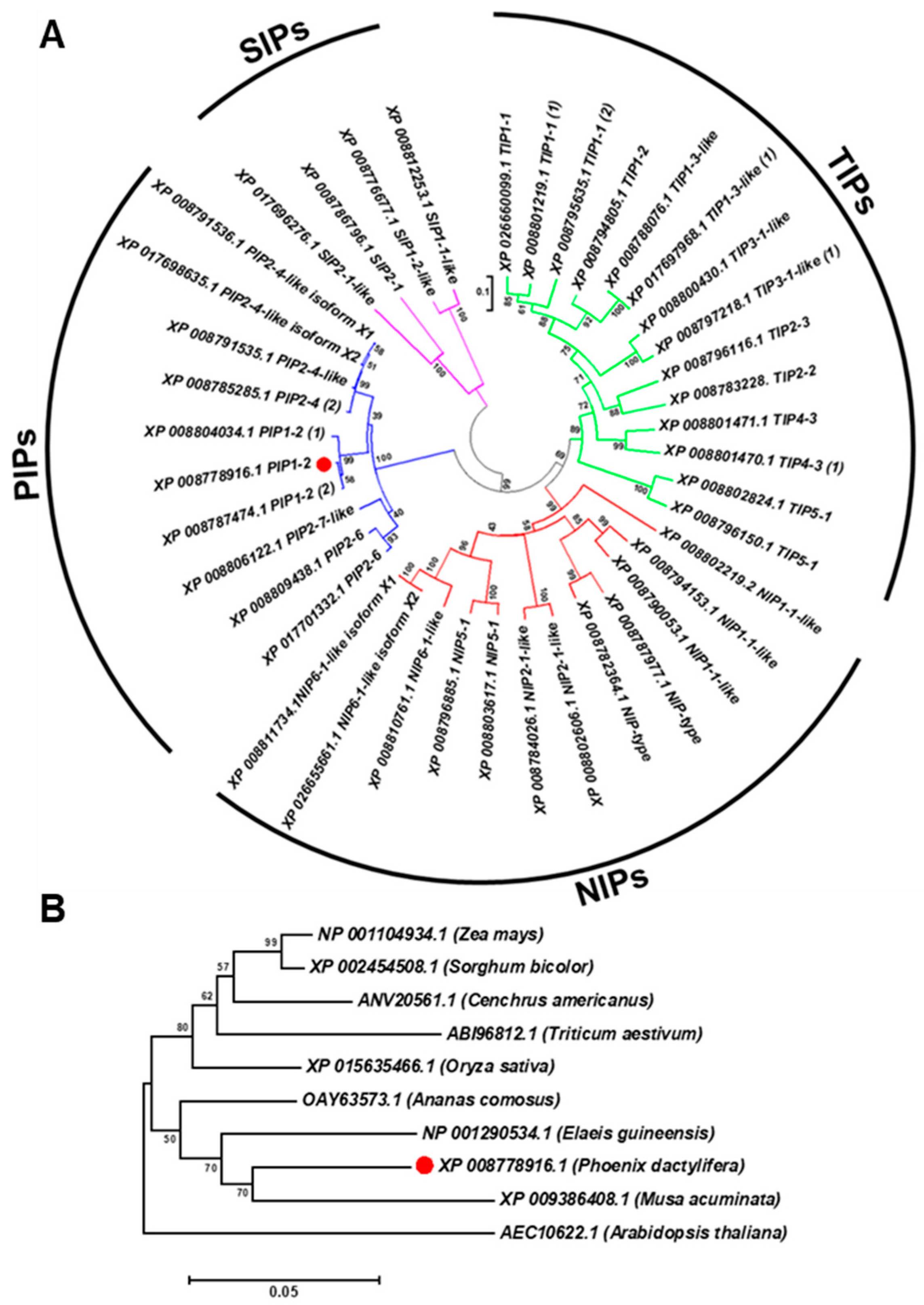 Genes 10 00390 g001