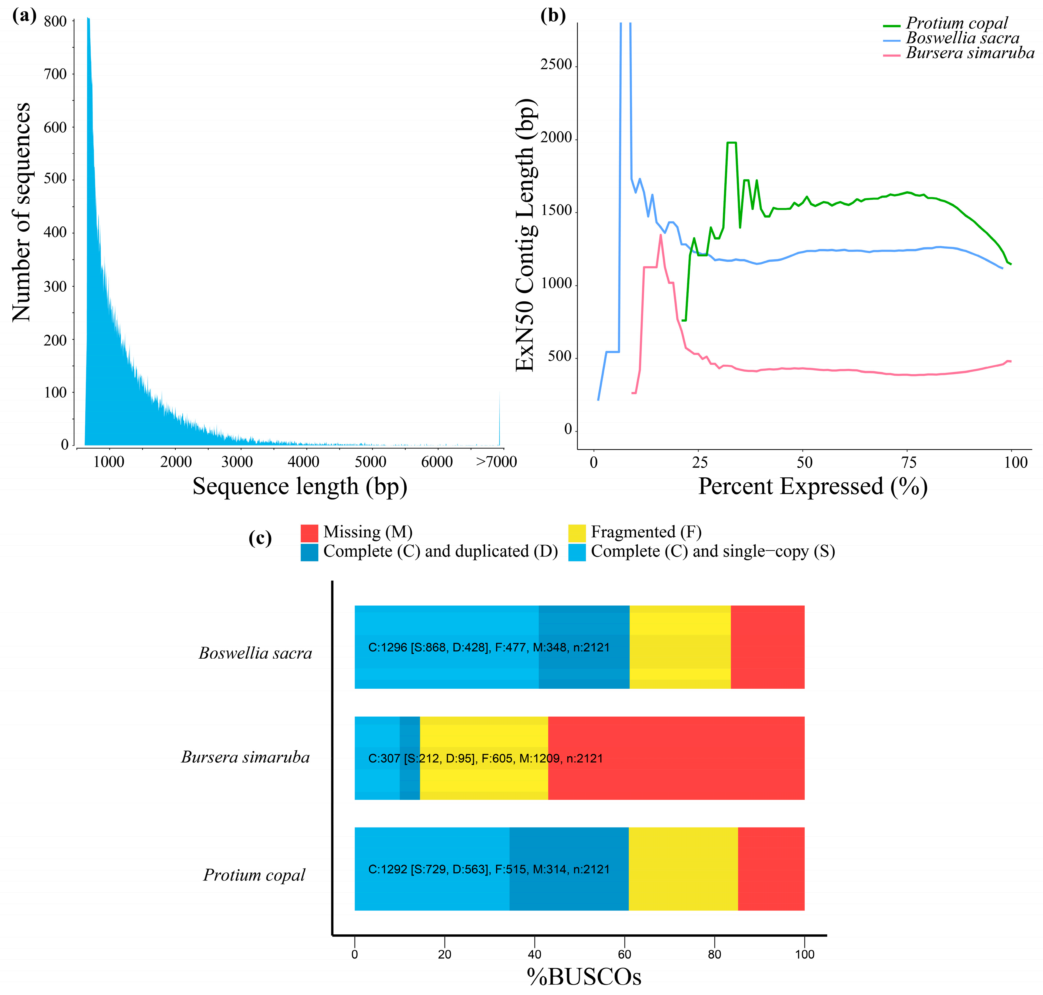Genes 10 00392 g001