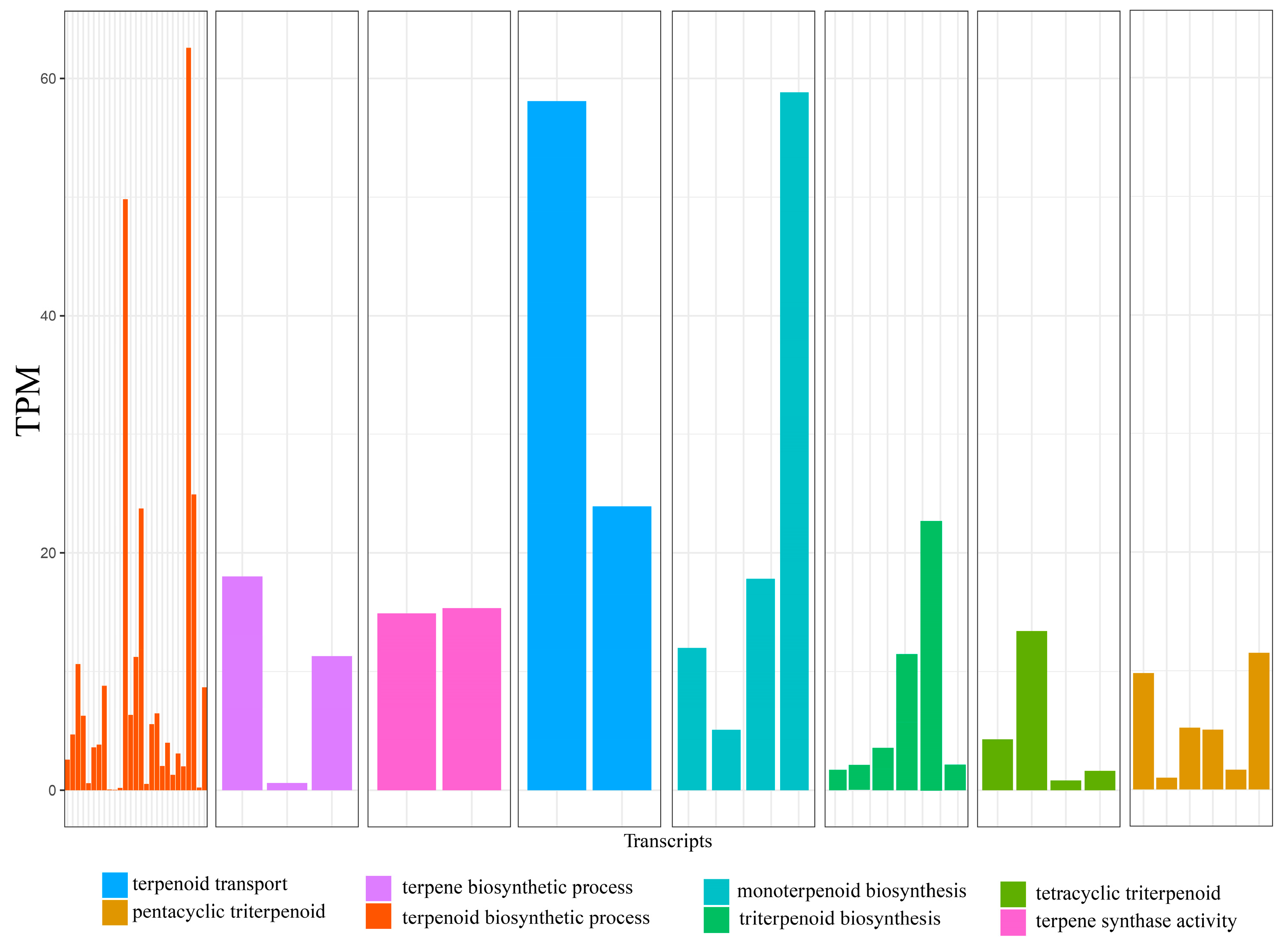 Genes 10 00392 g003