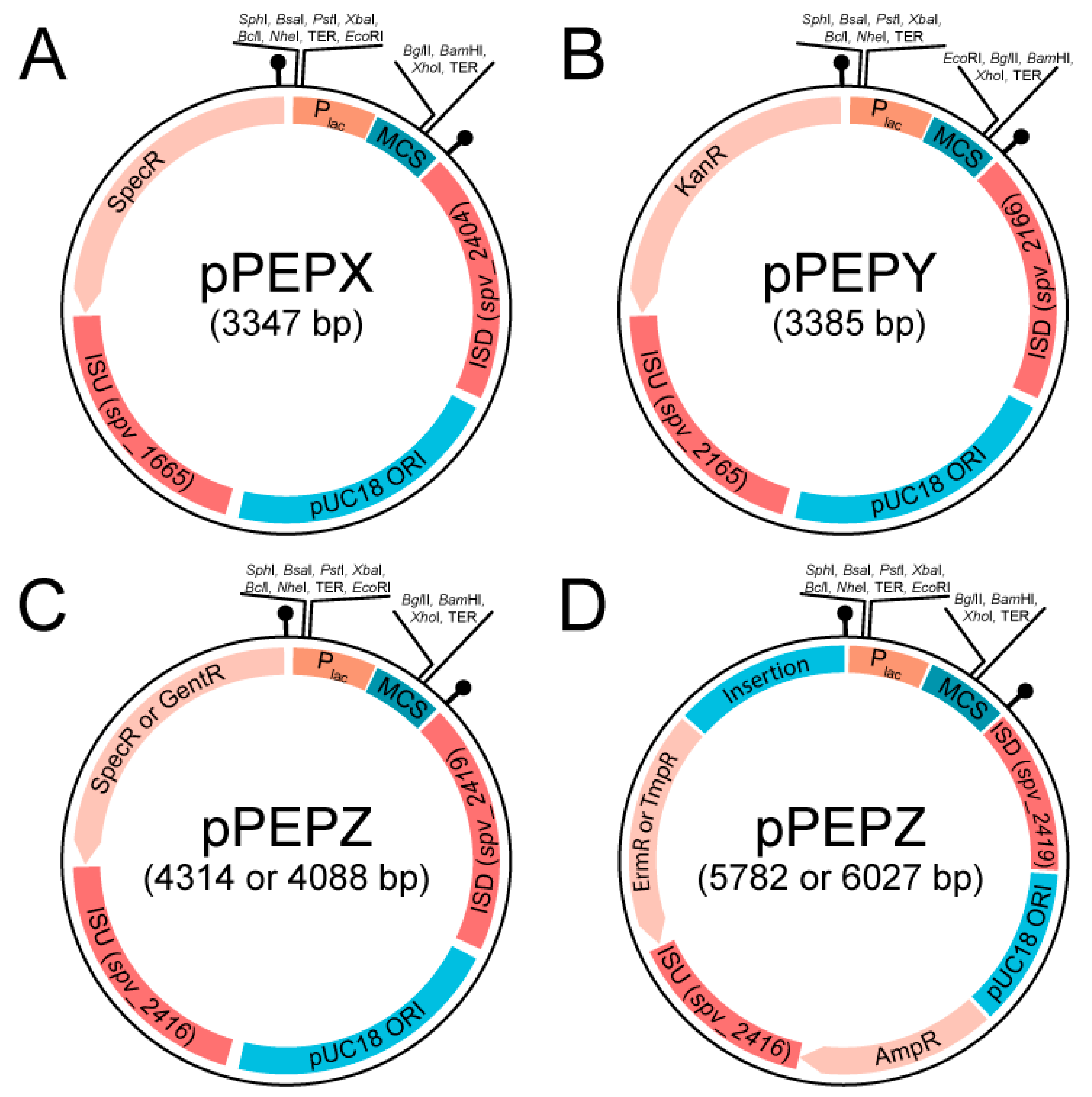 Genes 10 00394 g001 Genes 10 00394 g001
