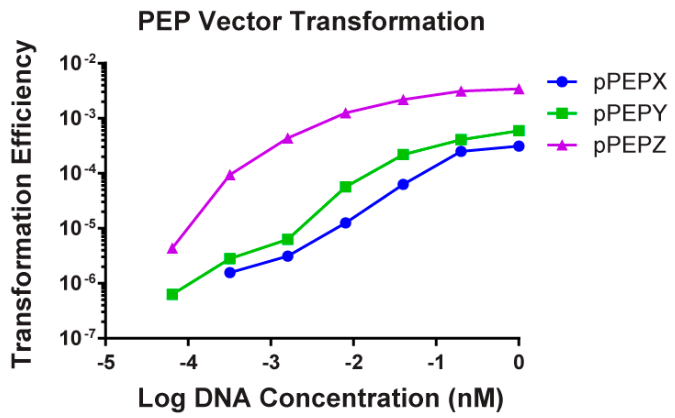 Genes 10 00394 g003 Genes 10 00394 g003
