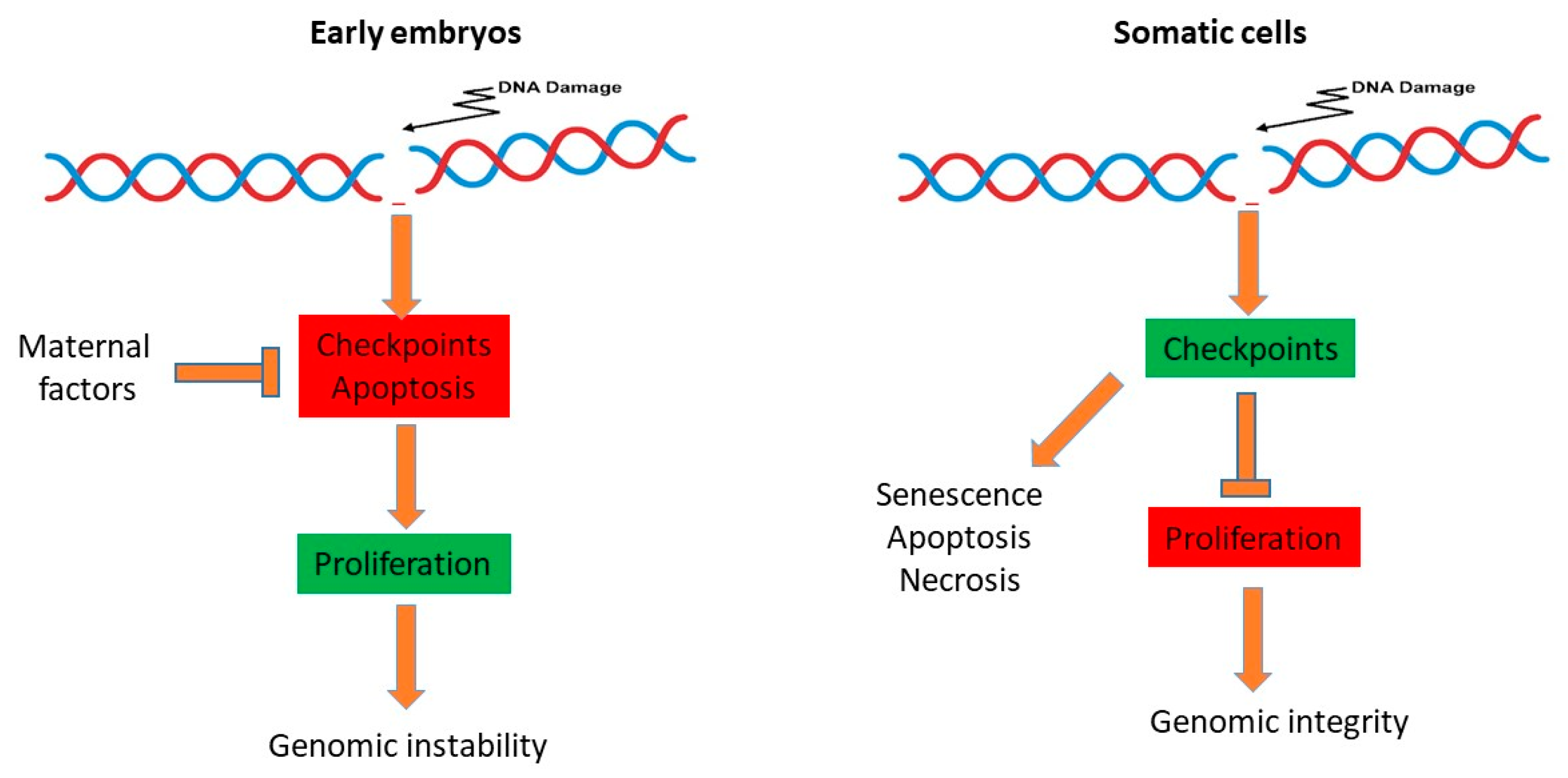 Genes 10 00398 g003 Genes 10 00398 g003