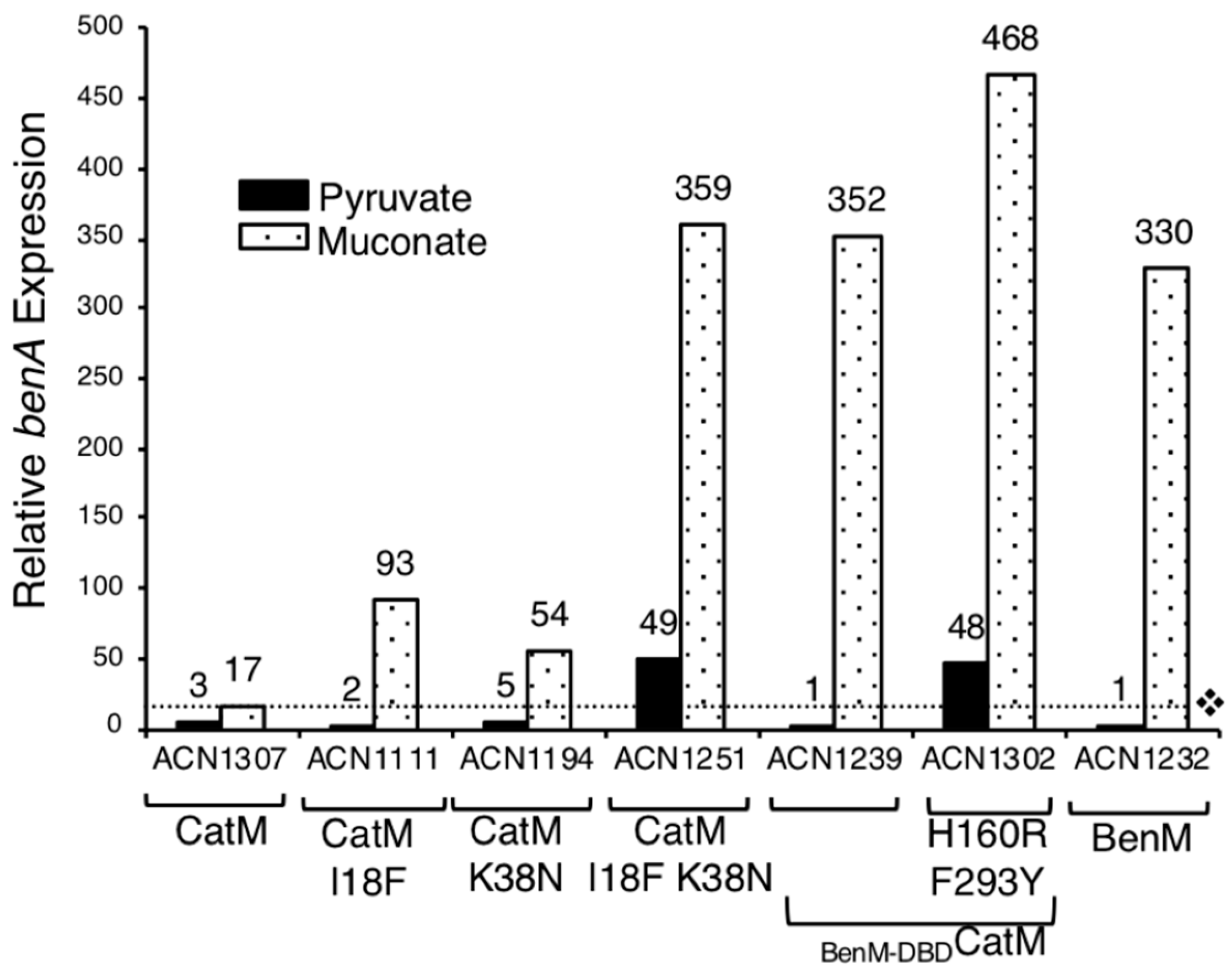 Genes 10 00421 g004 Genes 10 00421 g004