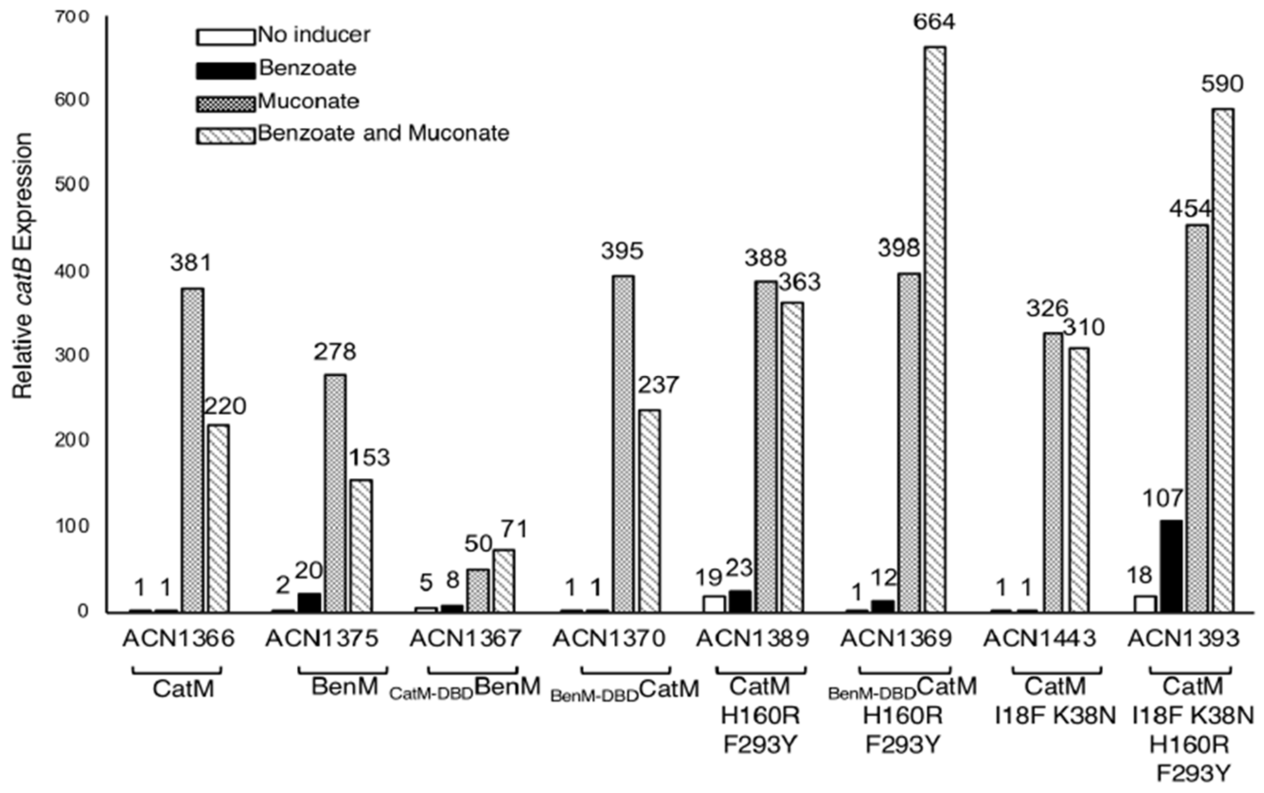 Genes 10 00421 g005 Genes 10 00421 g005