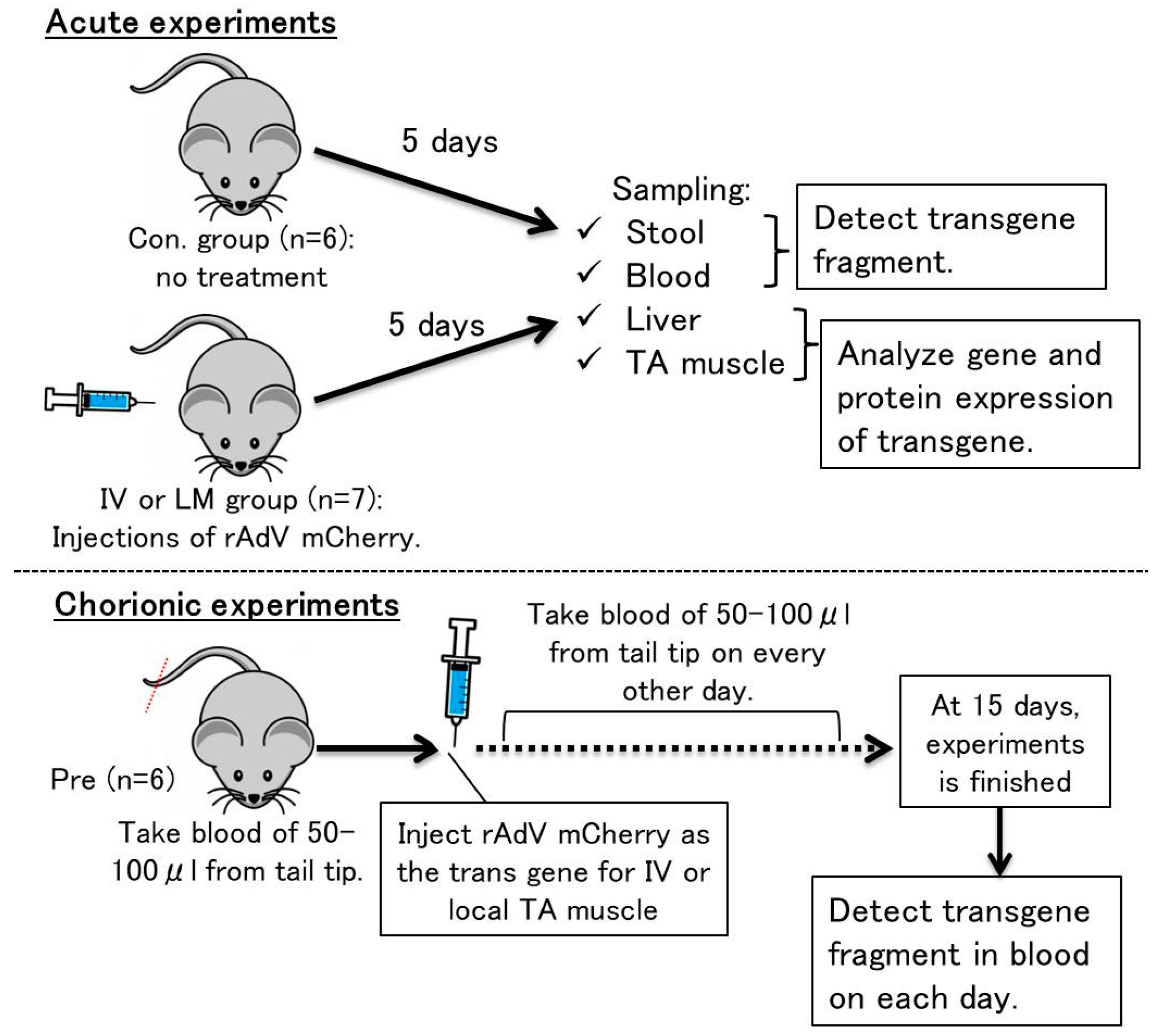 Genes 10 00436 g001