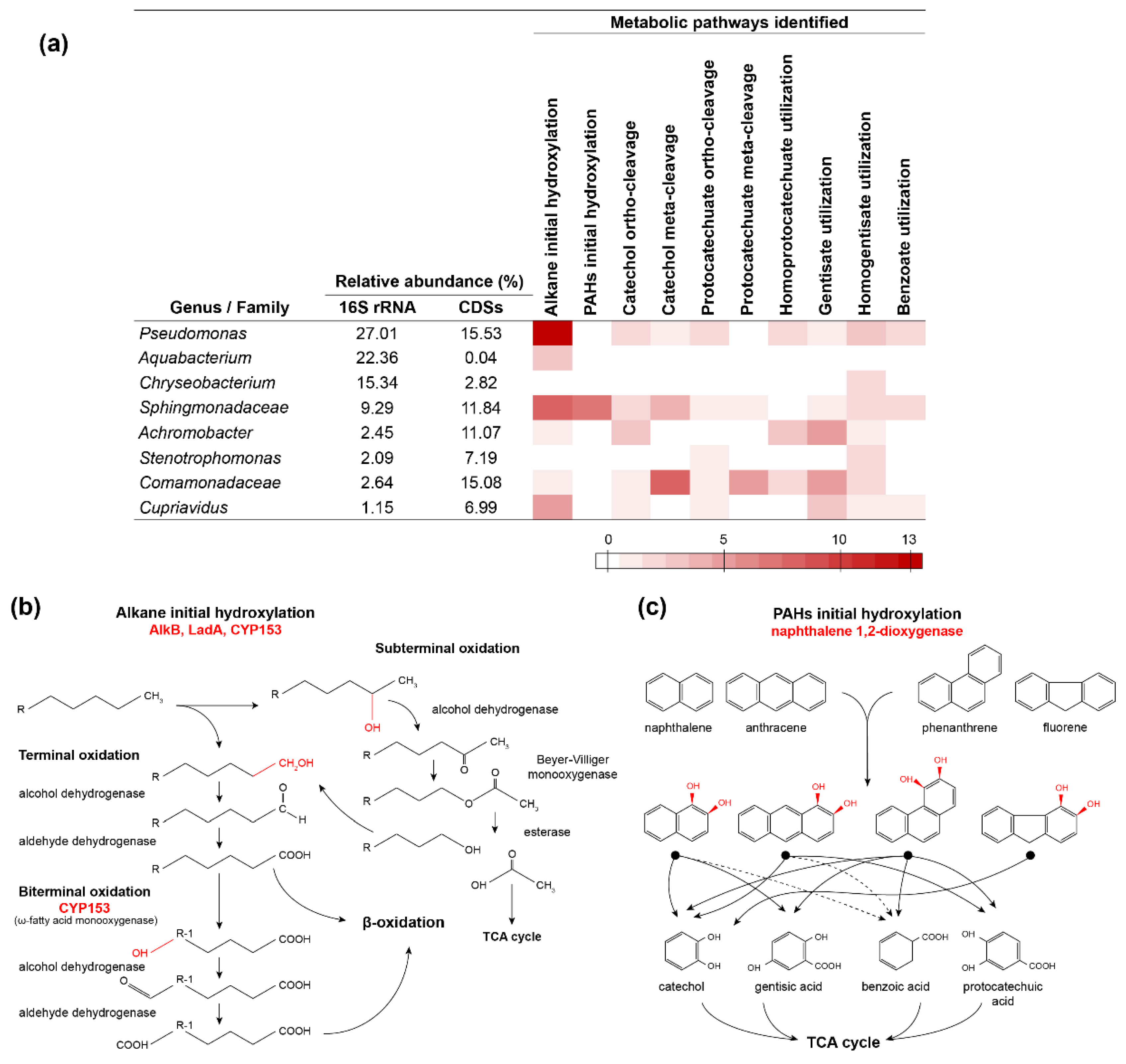 Genes 10 00456 g004 Genes 10 00456 g004