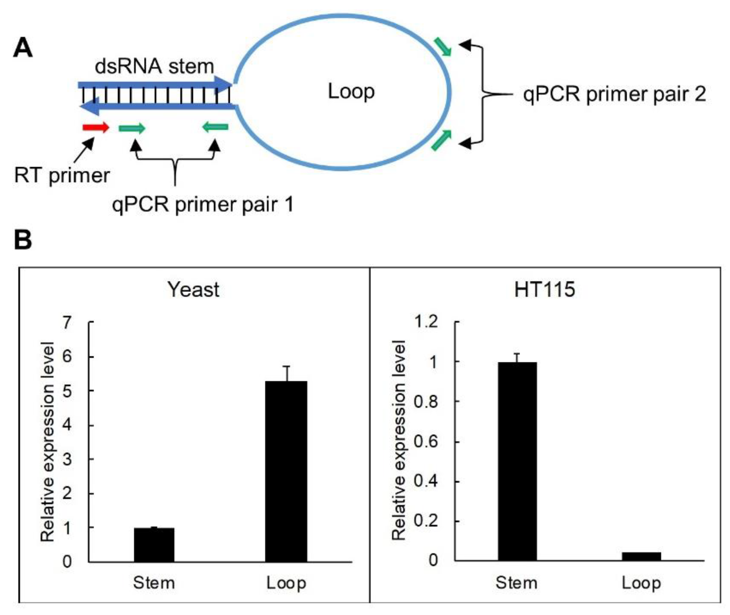 Genes 10 00458 g003 Genes 10 00458 g003