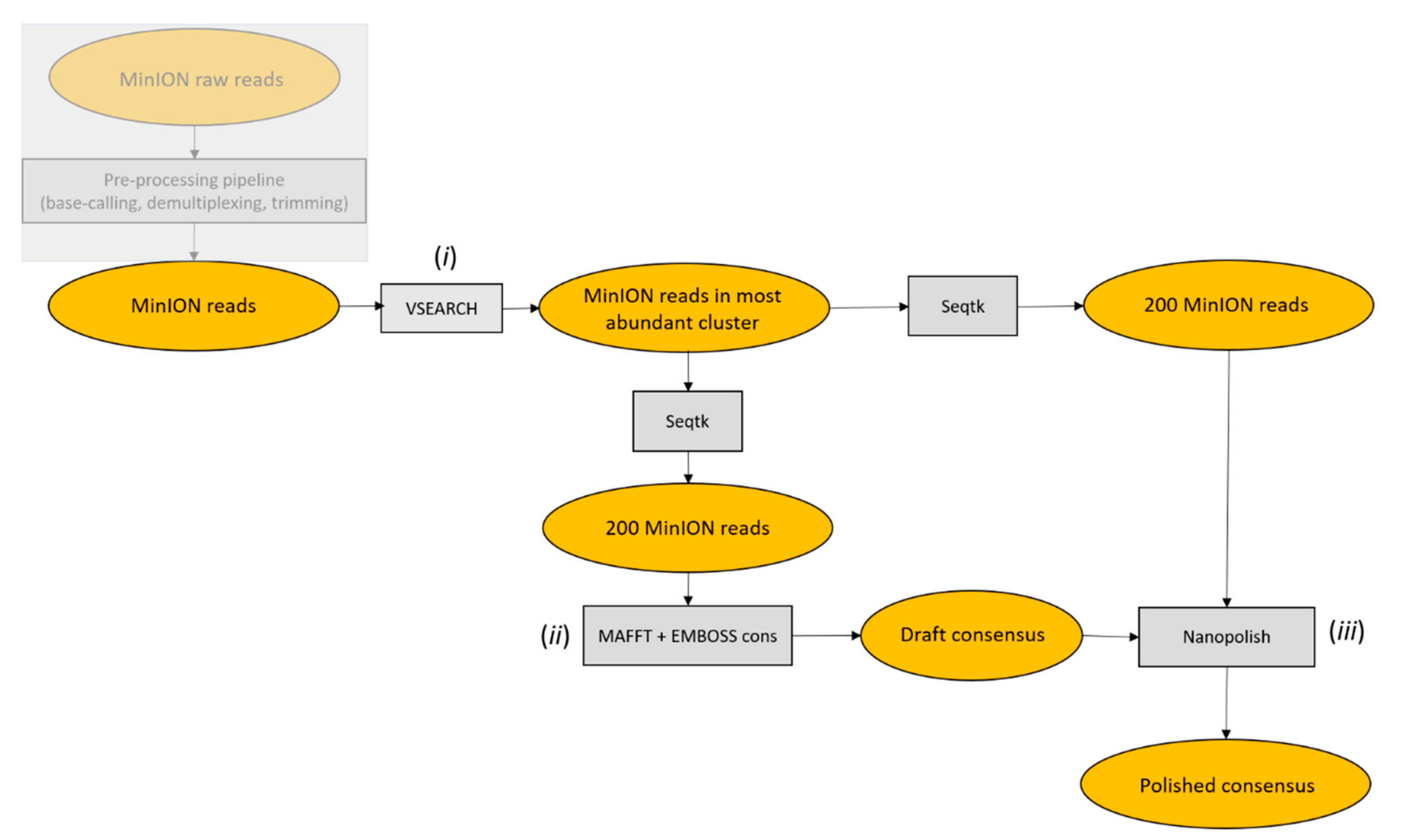 Genes 10 00468 g002 Genes 10 00468 g002