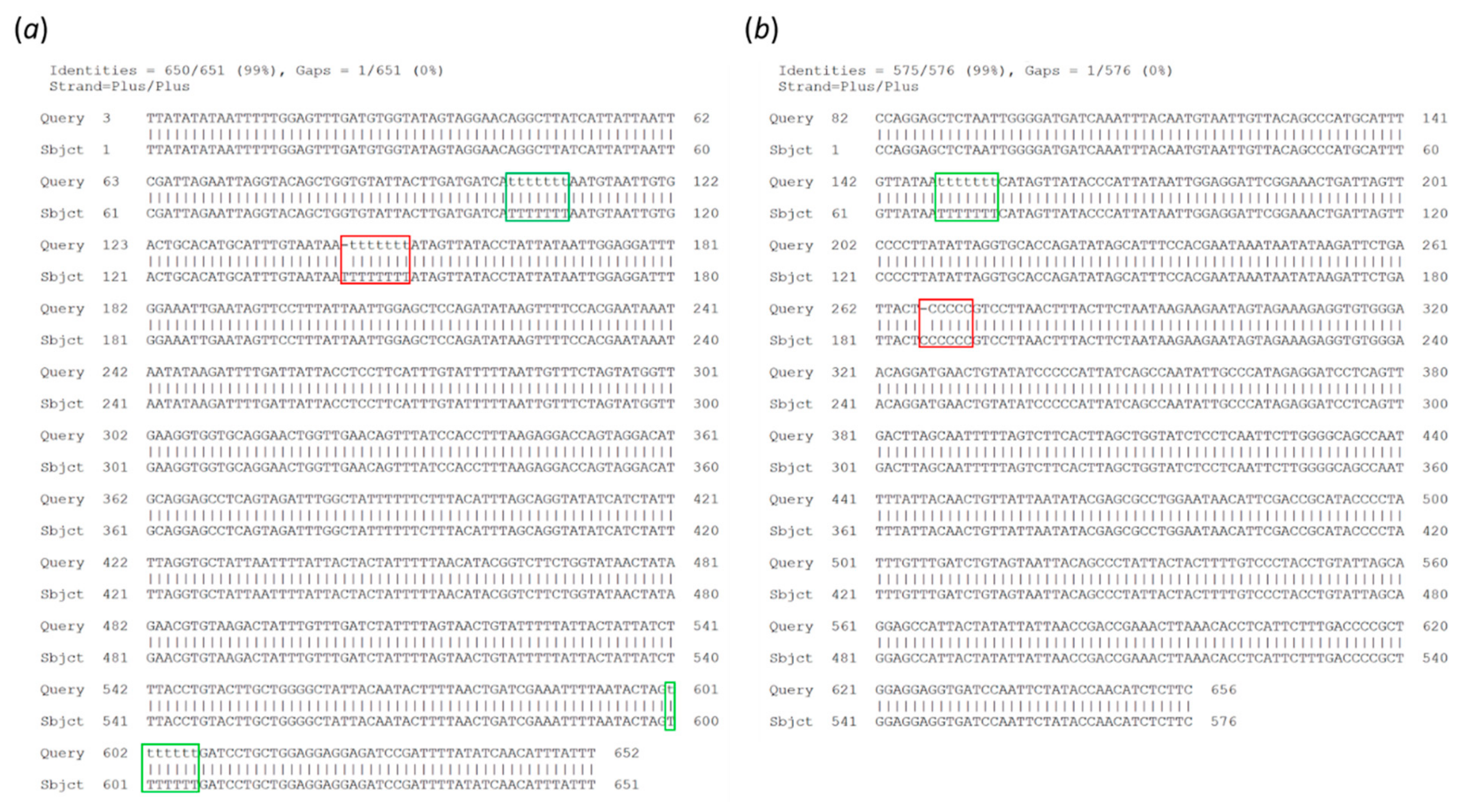 Genes 10 00468 g003 Genes 10 00468 g003