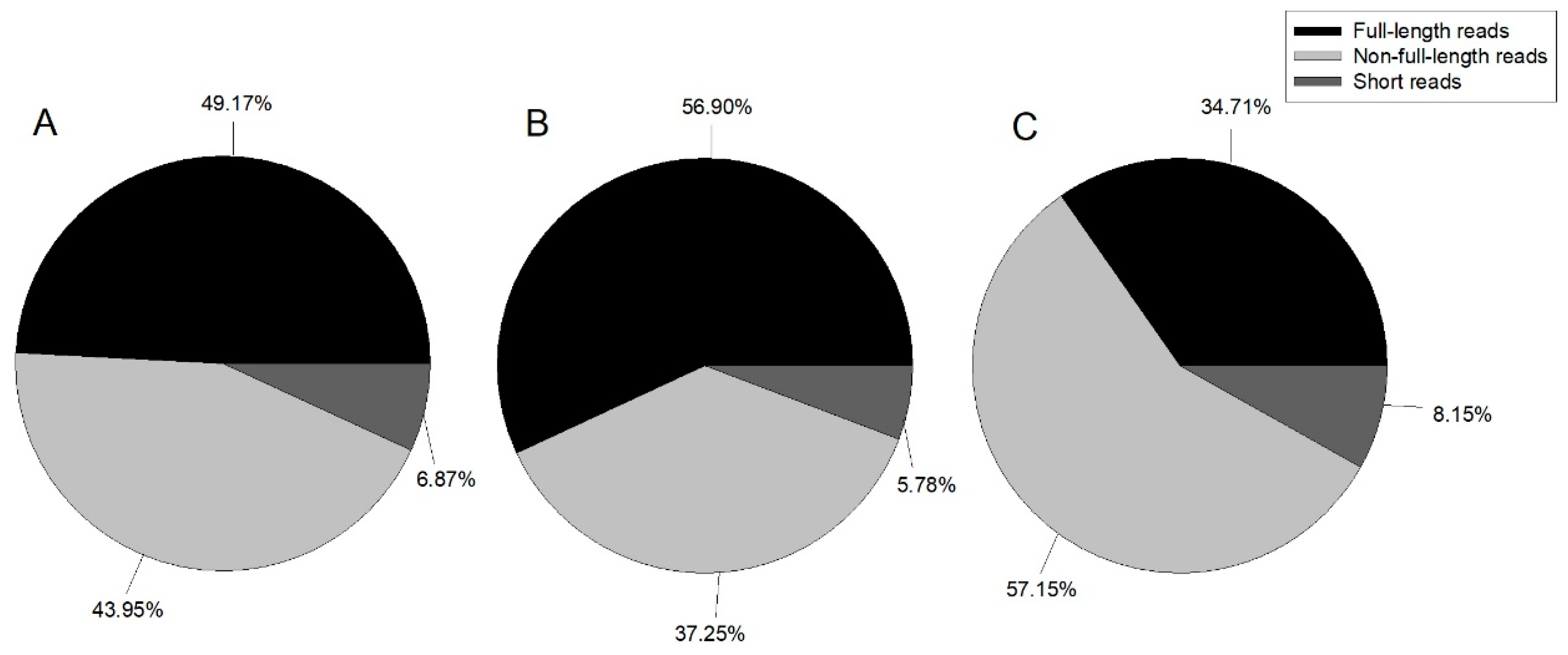 Genes 10 00481 g001