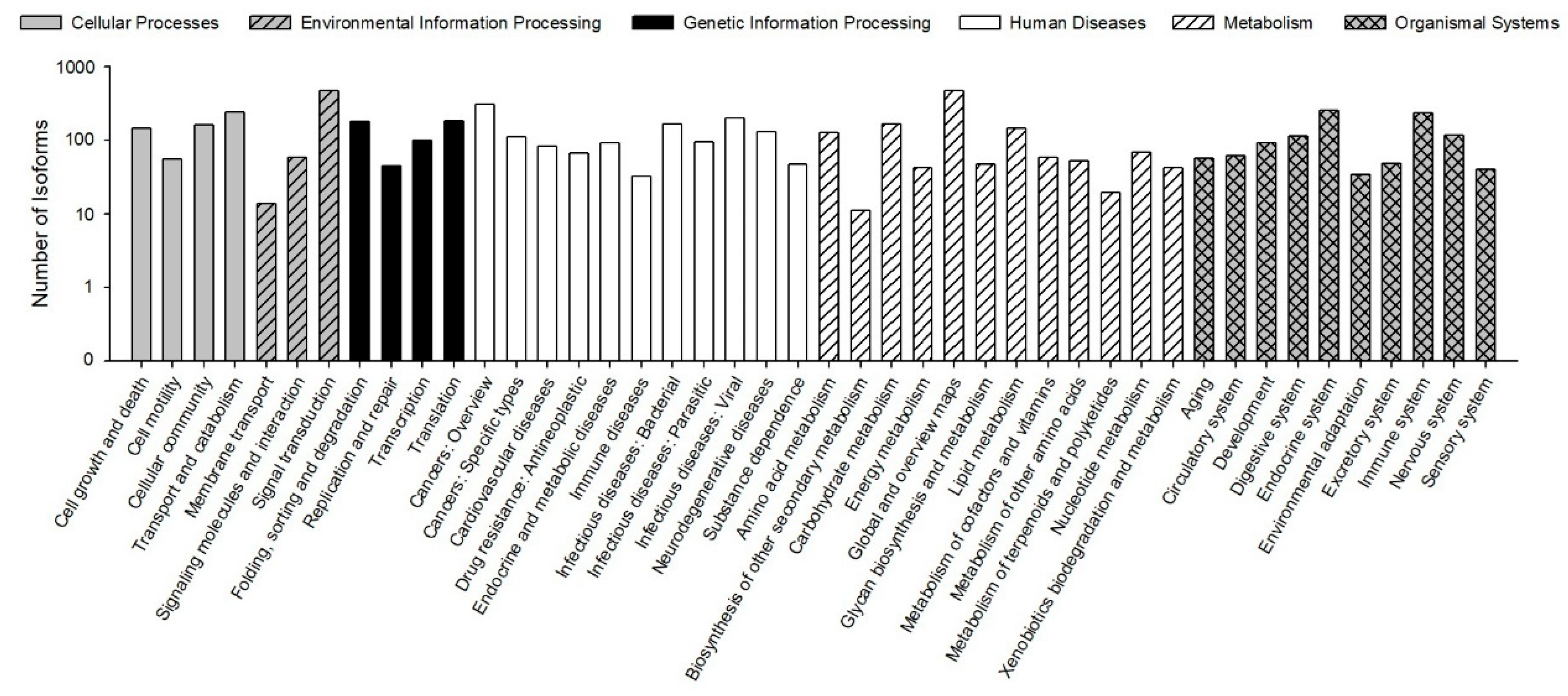 Genes 10 00481 g005