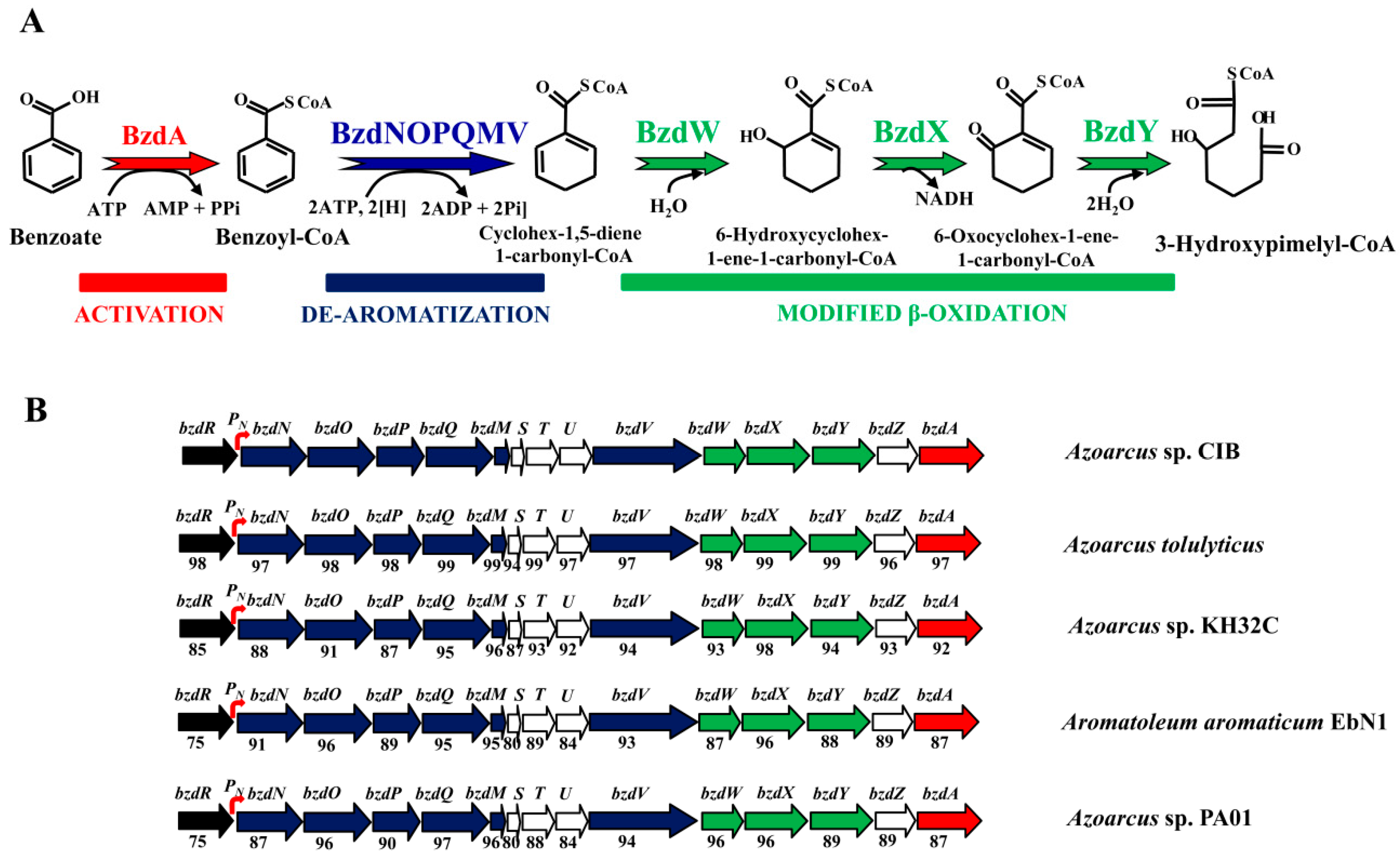 Genes 10 00489 g001 Genes 10 00489 g001